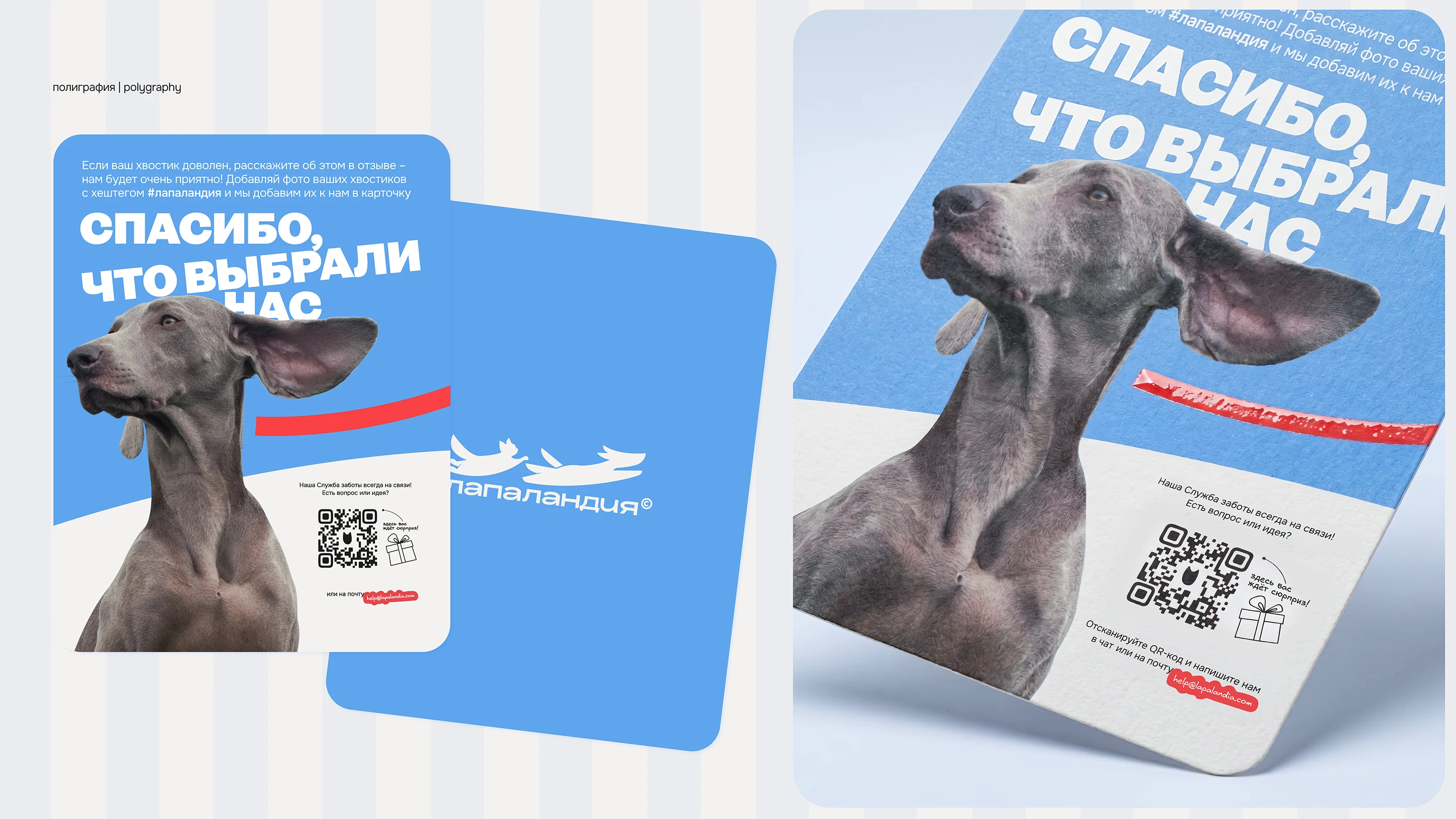 Айдентика бренда зоотоваров — Изображение №12 — Брендинг, Анимация на Dprofile