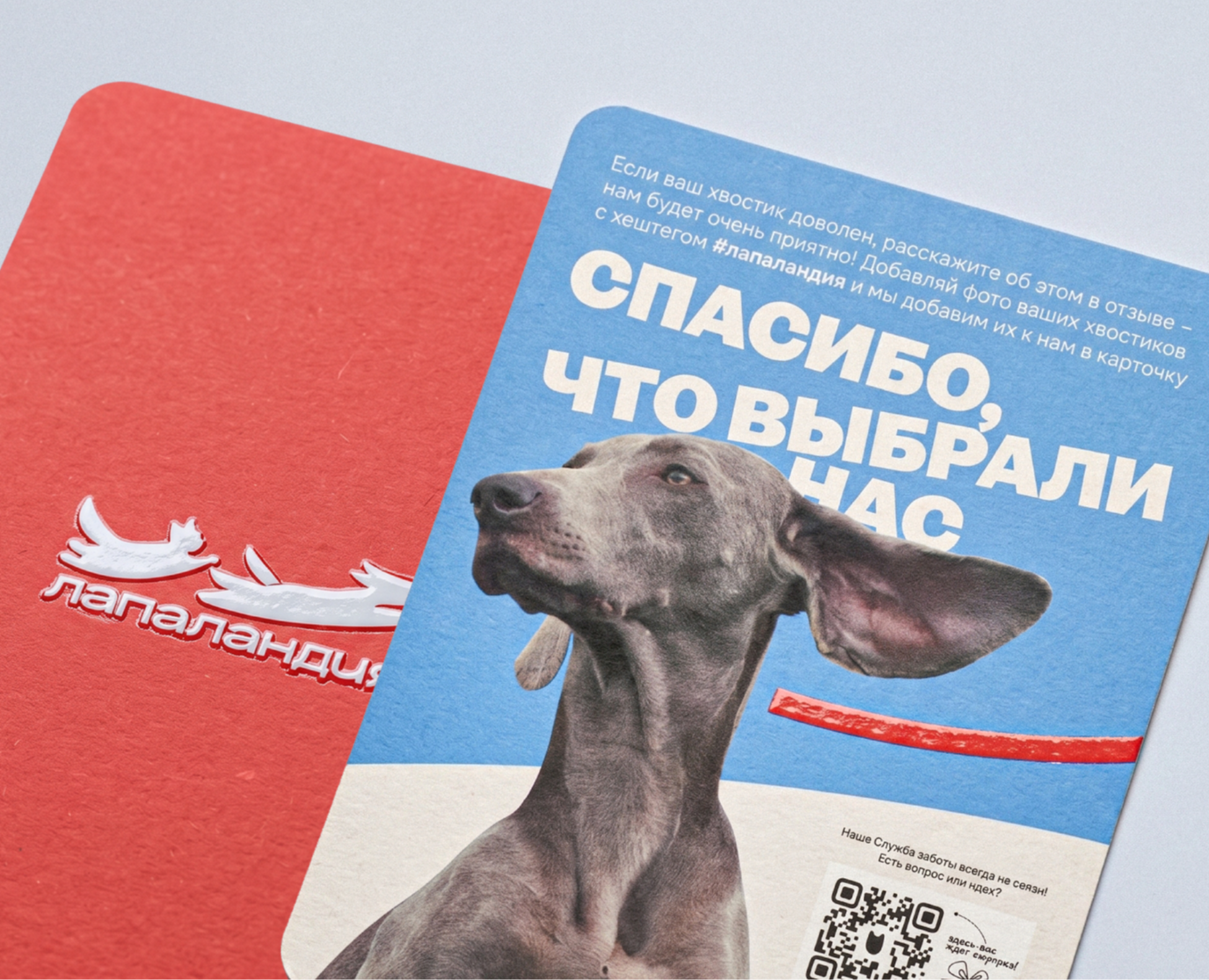 Айдентика бренда зоотоваров на Dprofile