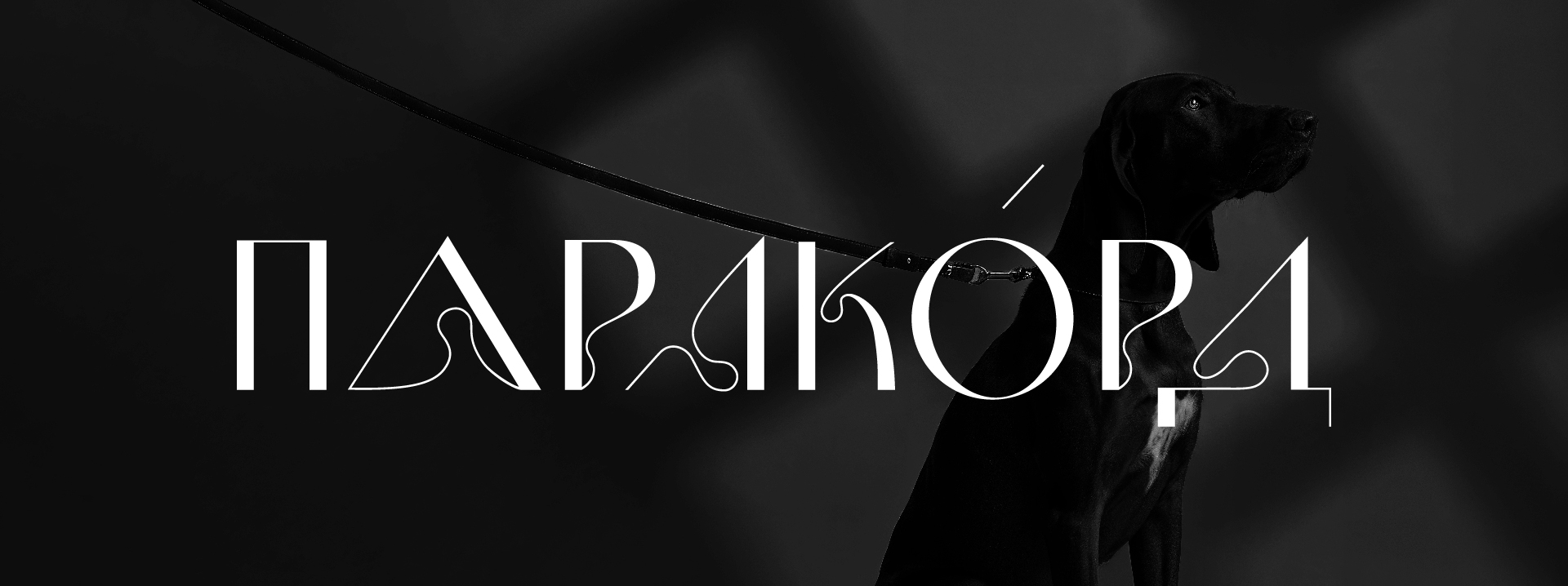 Экспериментальный леттеринг — Изображение №6 — Графика на Dprofile