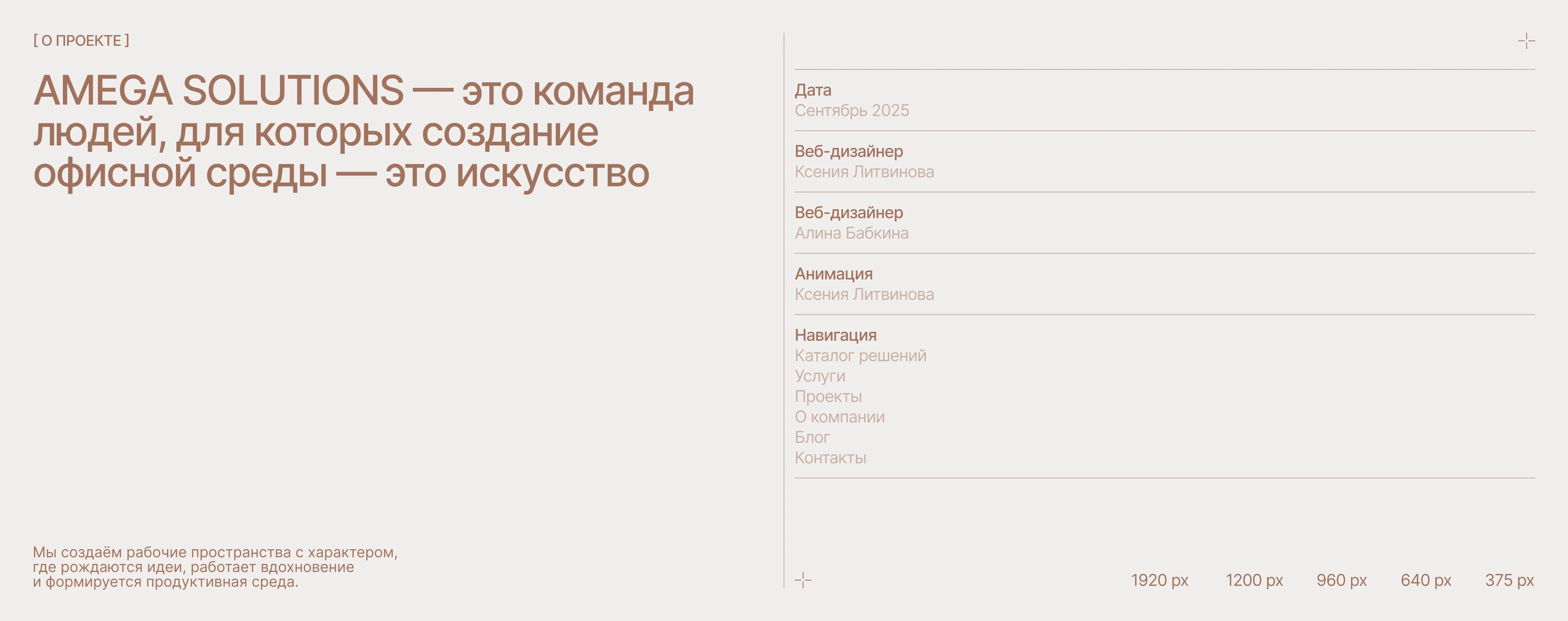 AMEGA SOLUTIONS|WEB — Изображение №1 — Интерфейсы, Брендинг на Dprofile