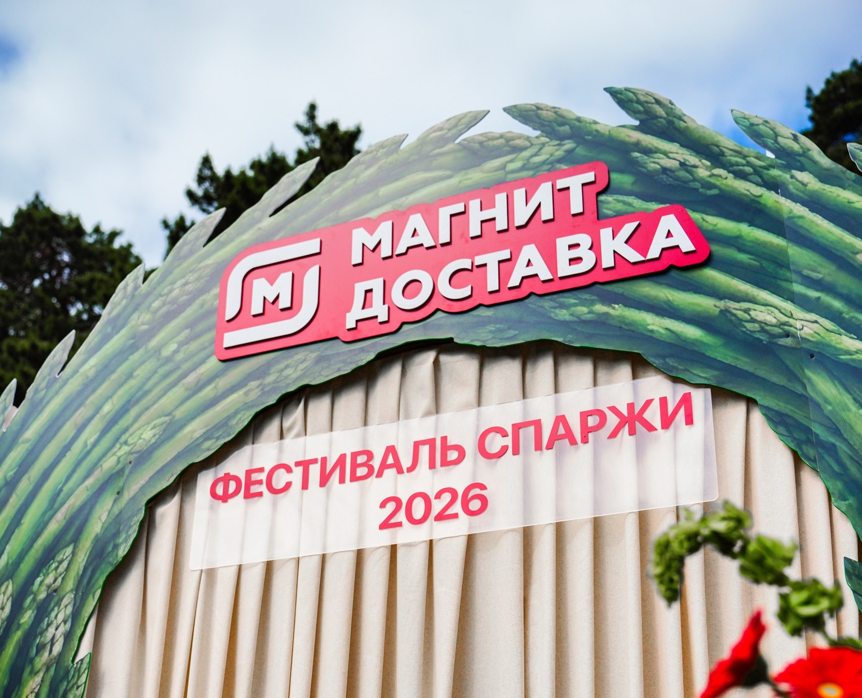 Фестиваль Спаржи — Графика, Маркетинг на Dprofile