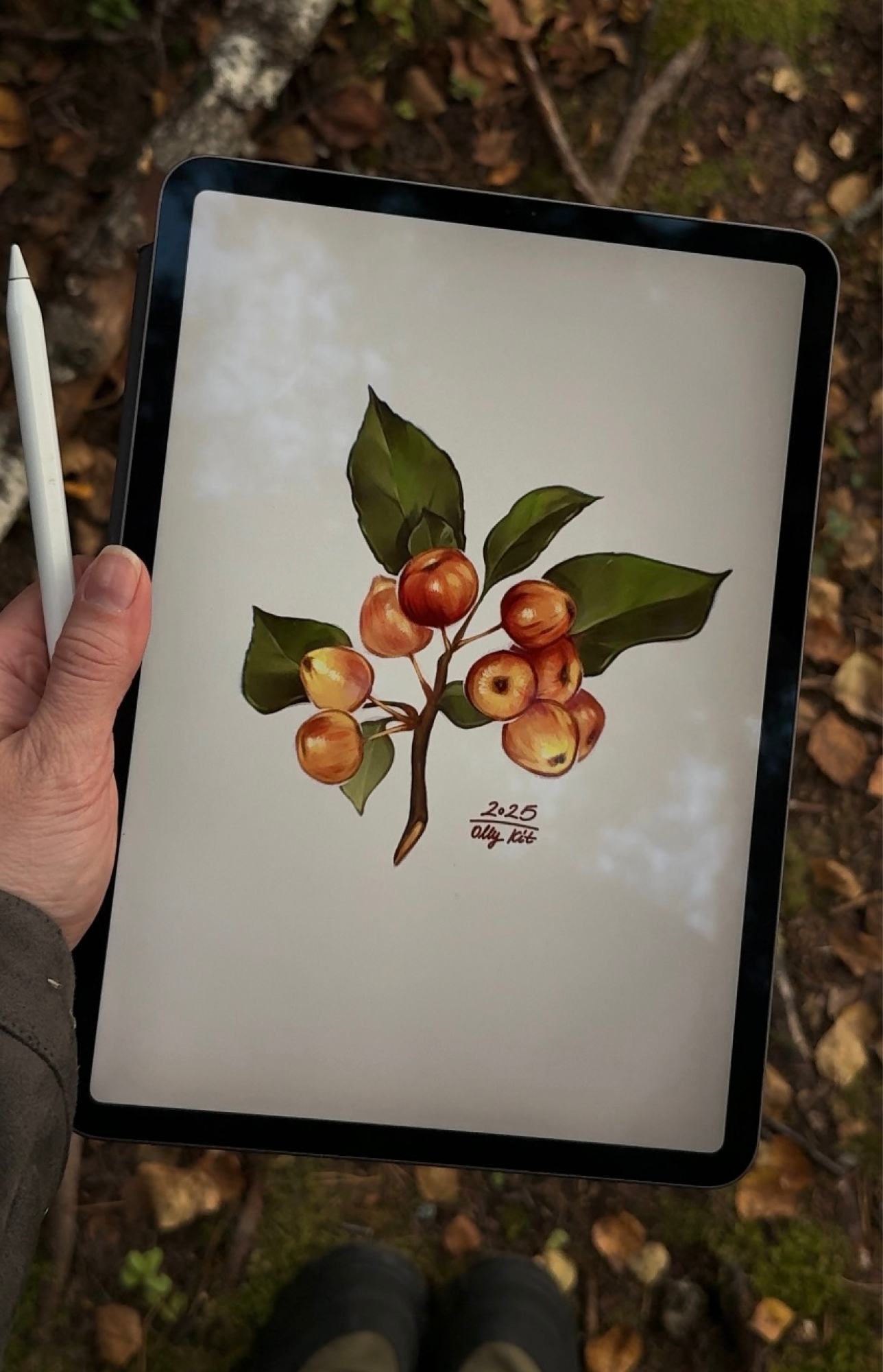 Inktober 2025 Уютные скетчи — Изображение №15 — Иллюстрация на Dprofile