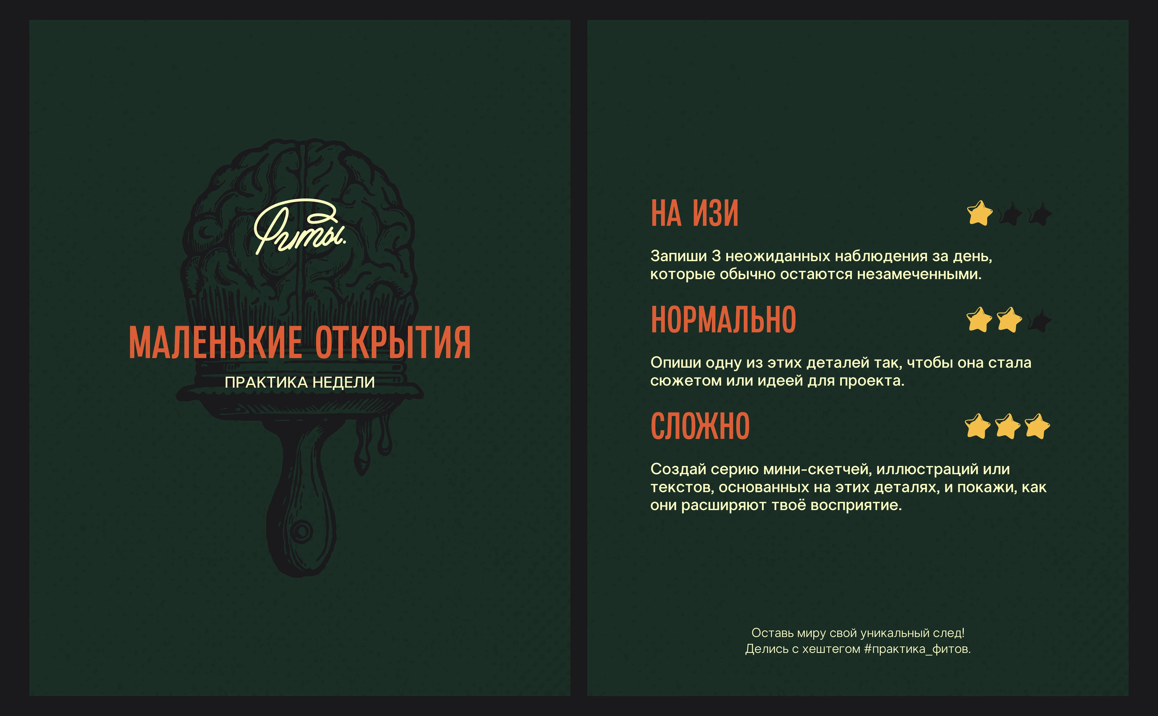 Комьюнити Фиты. Айдентика. — Изображение №3 — Брендинг на Dprofile