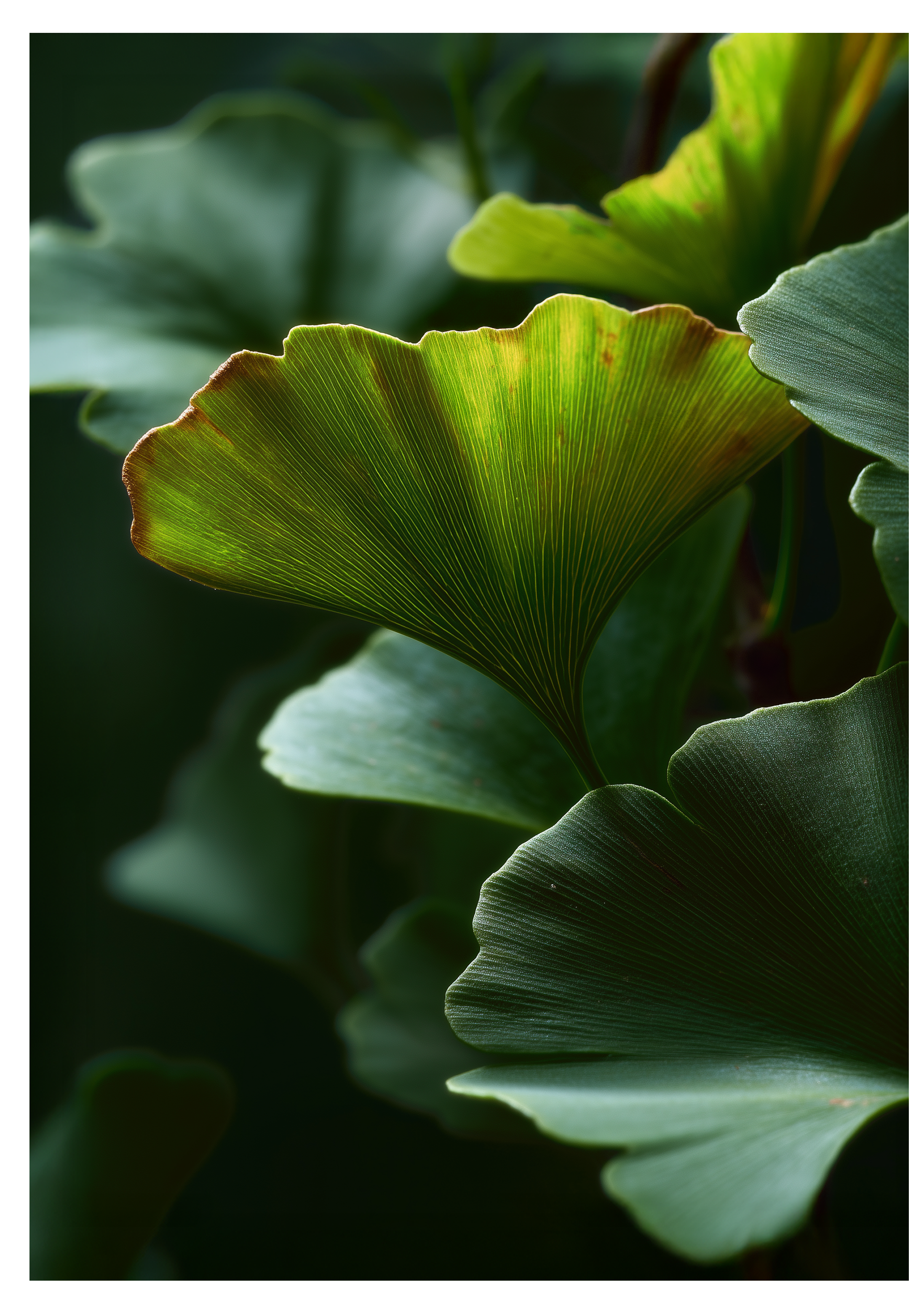 Soloways. Дизайн упаковки — Изображение №5 — Брендинг, Промдизайн на Dprofile