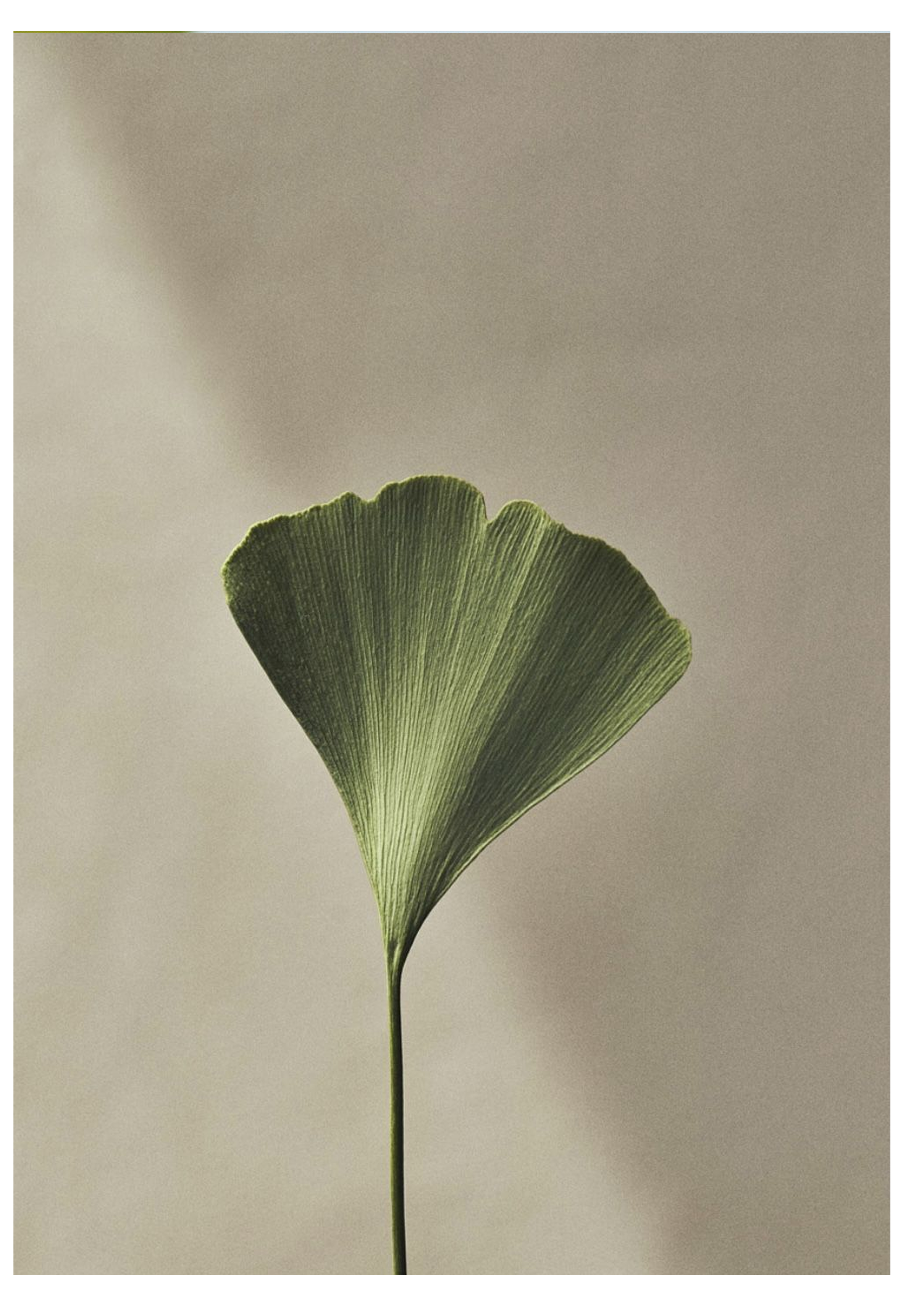 Soloways. Дизайн упаковки — Изображение №11 — Брендинг, Промдизайн на Dprofile