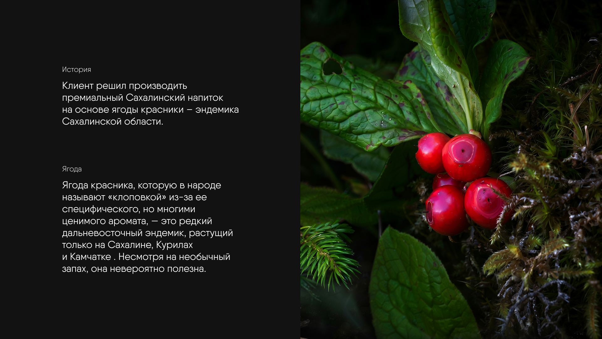 Klopovka. Айдентика и упаковка премиальной настойки — Изображение №2 — Брендинг на Dprofile