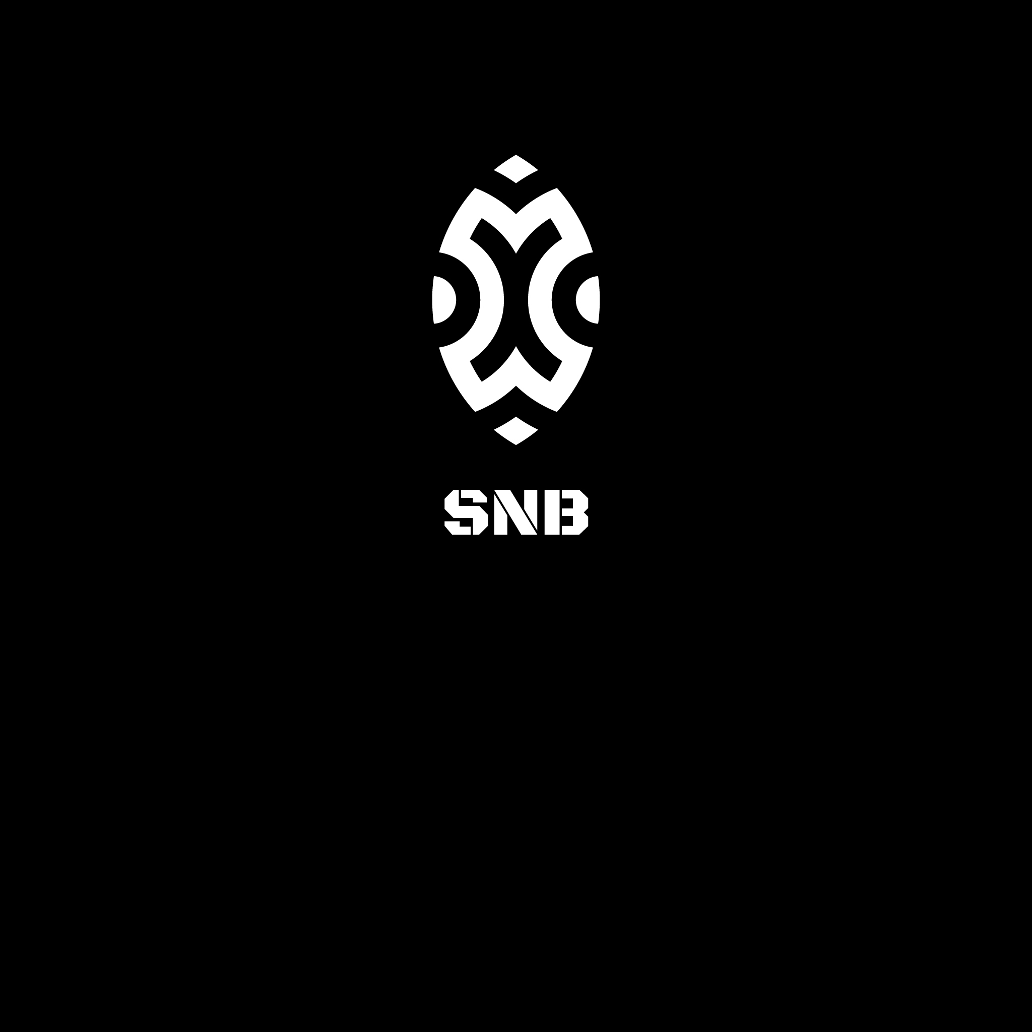 SNB Лого — Изображение №2 — Брендинг на Dprofile