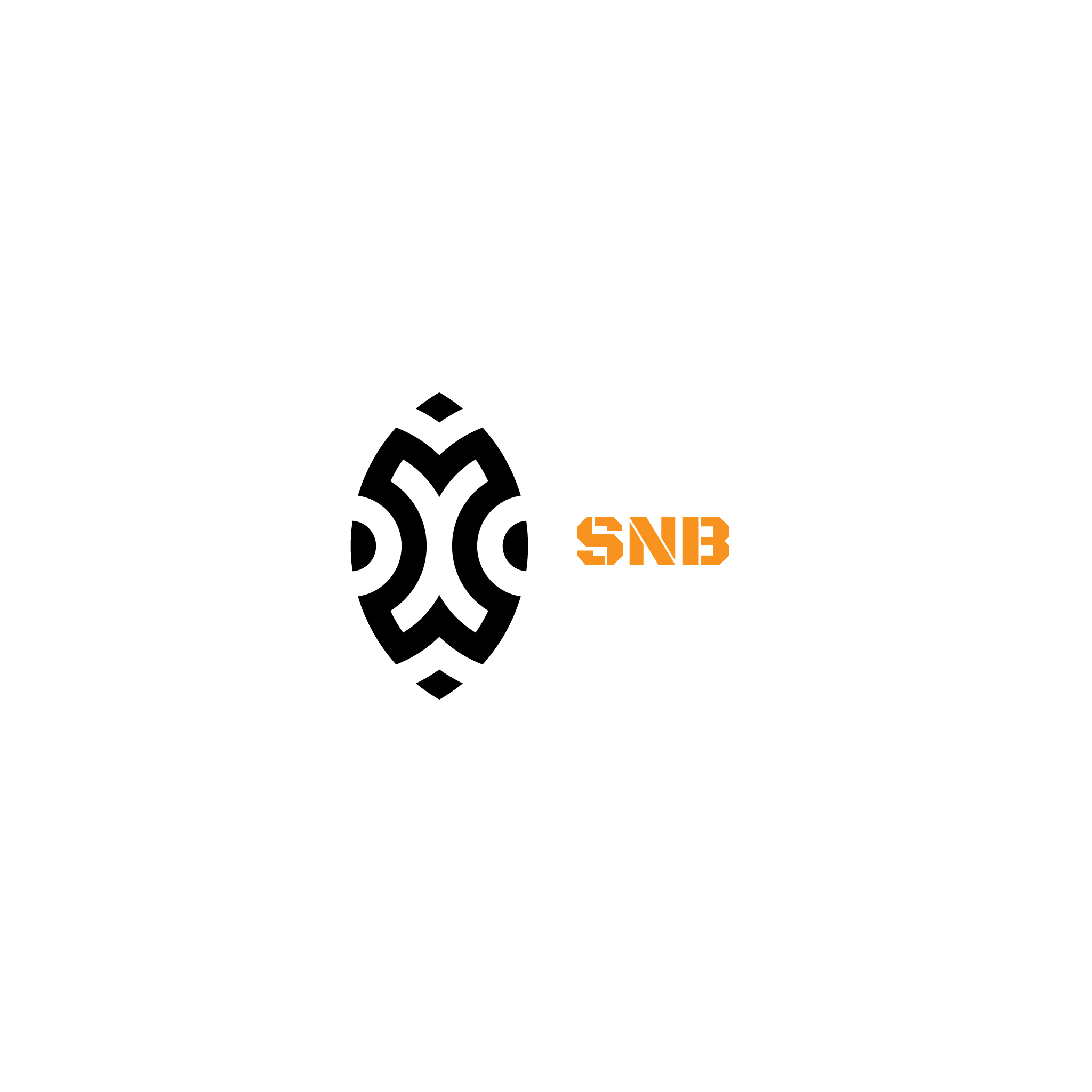 SNB Лого — Изображение №12 — Брендинг на Dprofile