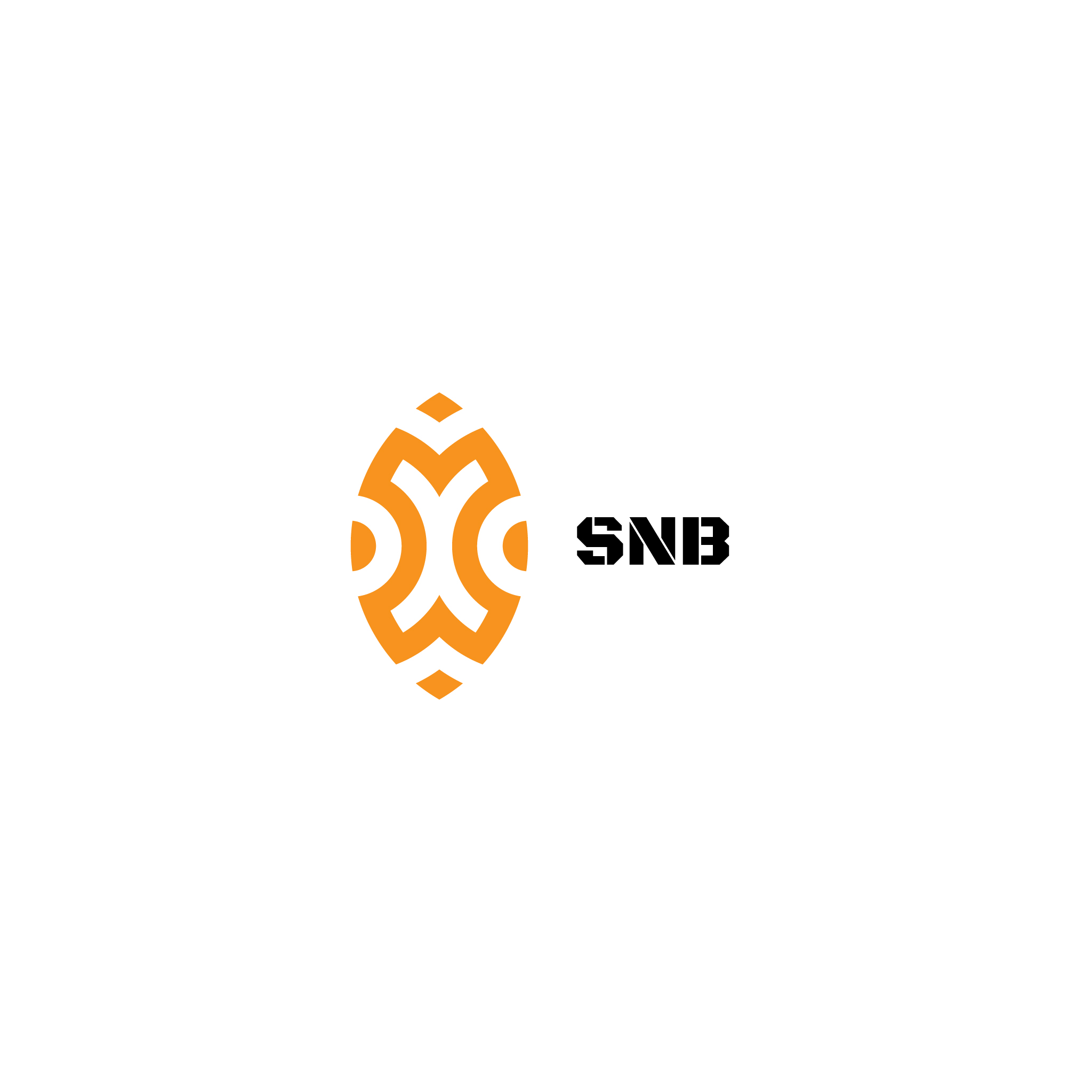 SNB Лого — Изображение №10 — Брендинг на Dprofile