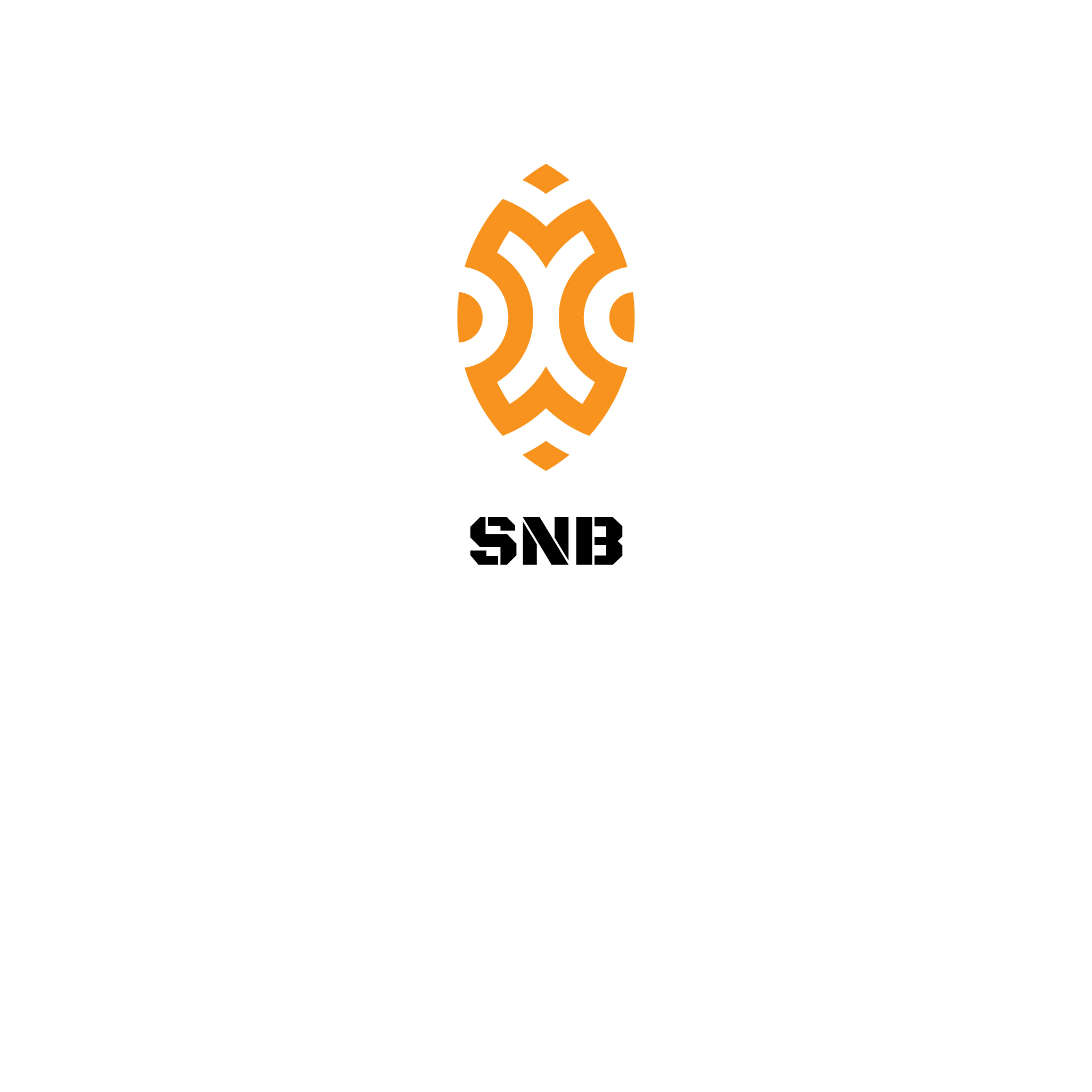 SNB Лого — Изображение №1 — Брендинг на Dprofile