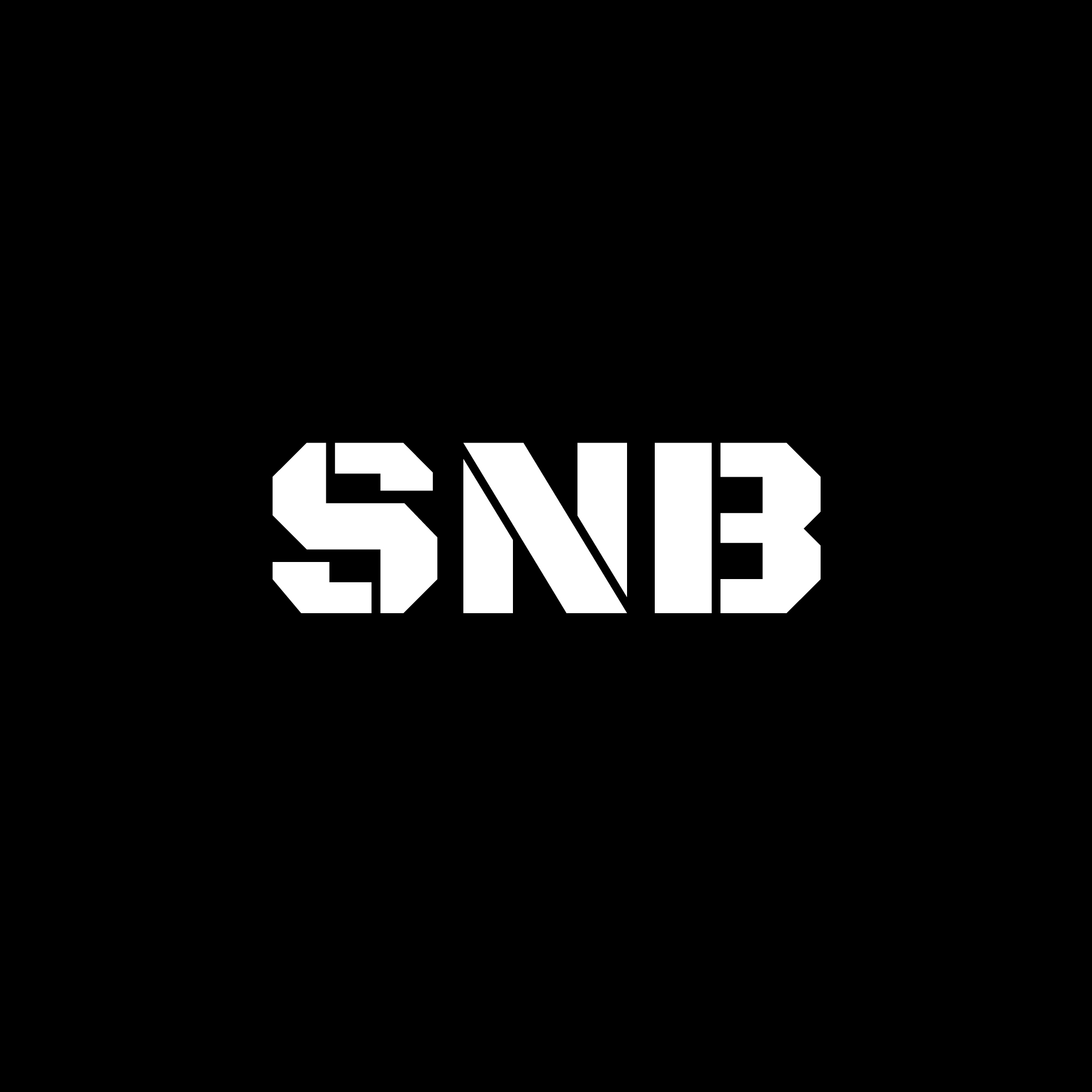 SNB Лого — Изображение №5 — Брендинг на Dprofile