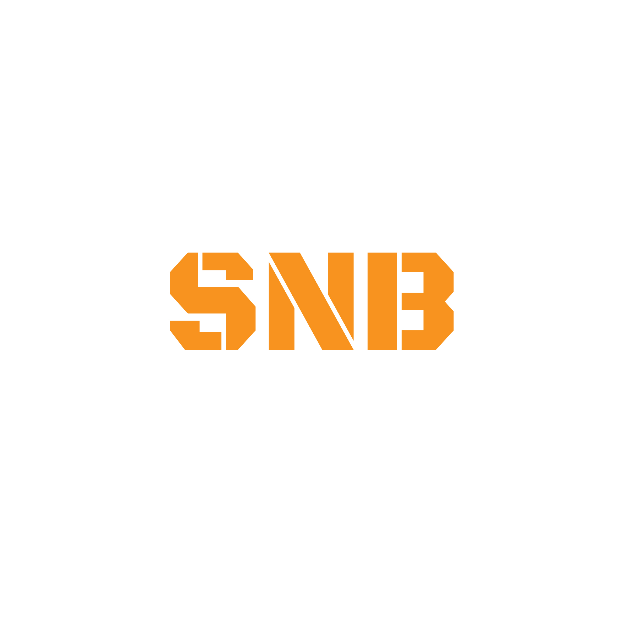 SNB Лого — Изображение №6 — Брендинг на Dprofile