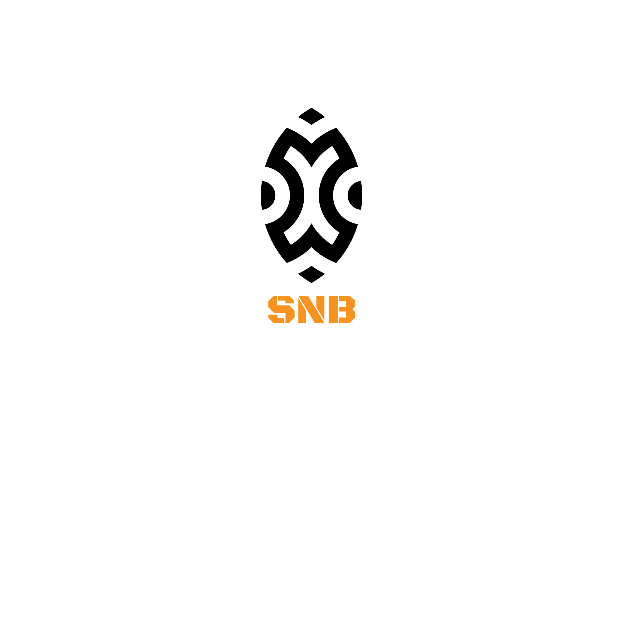 SNB Лого — Изображение №3 — Брендинг на Dprofile