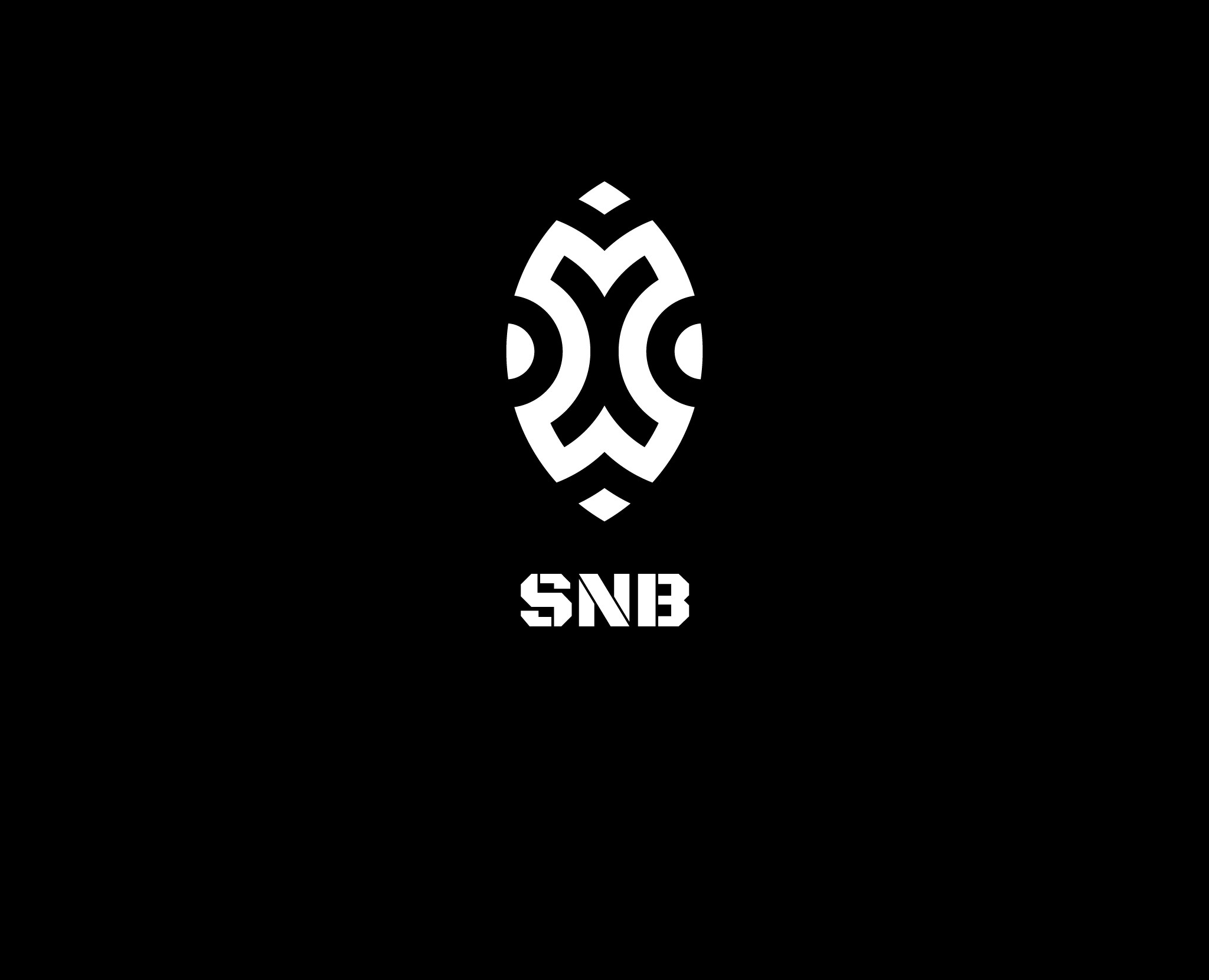 SNB Лого — Брендинг на Dprofile
