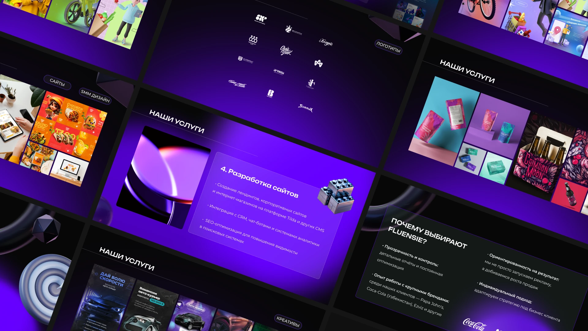 FLUENSIE BRANDING — Изображение №4 — Брендинг на Dprofile
