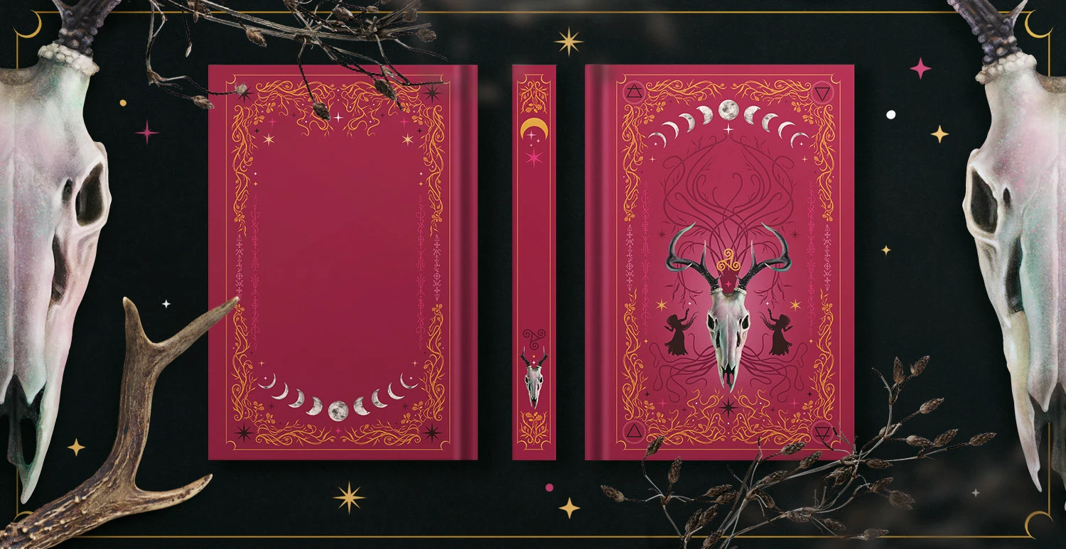 Обложки серии книг "Гримуар" — Изображение №4 — Иллюстрация, Графика на Dprofile