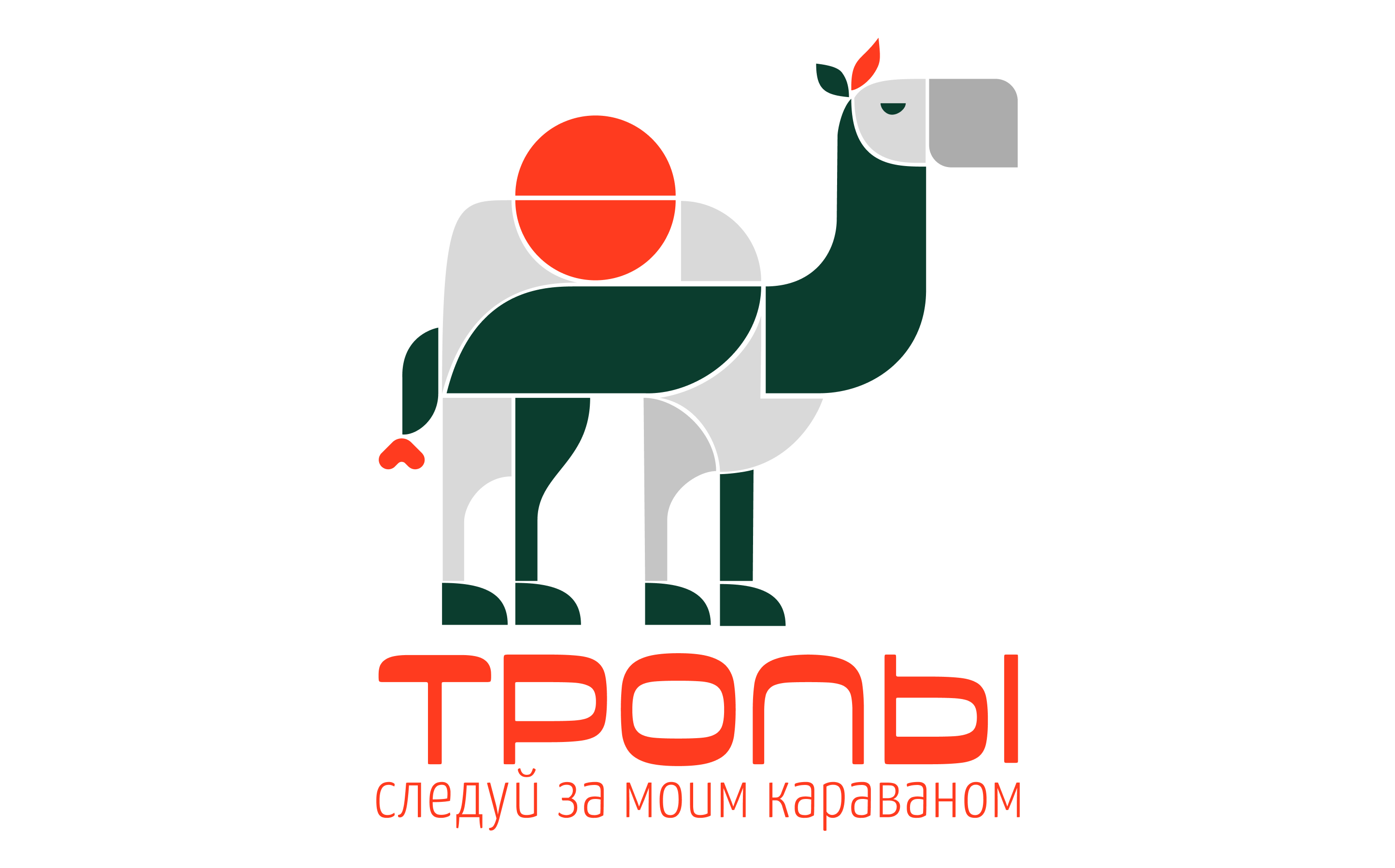 Журнал "ТРОПЫ" — Изображение №7 — Брендинг, Графика на Dprofile