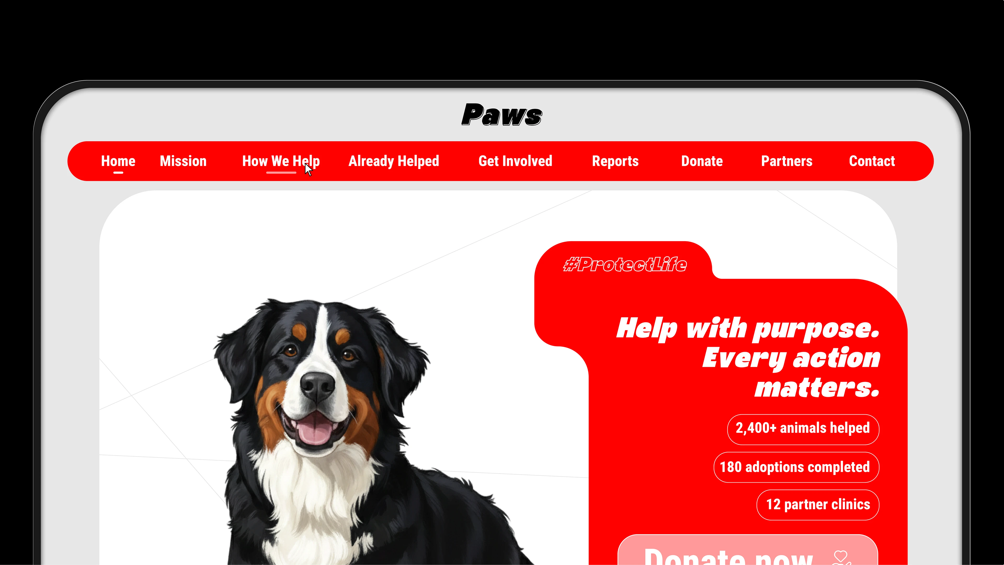 Paws charity — Изображение №8 — Брендинг, Графика на Dprofile