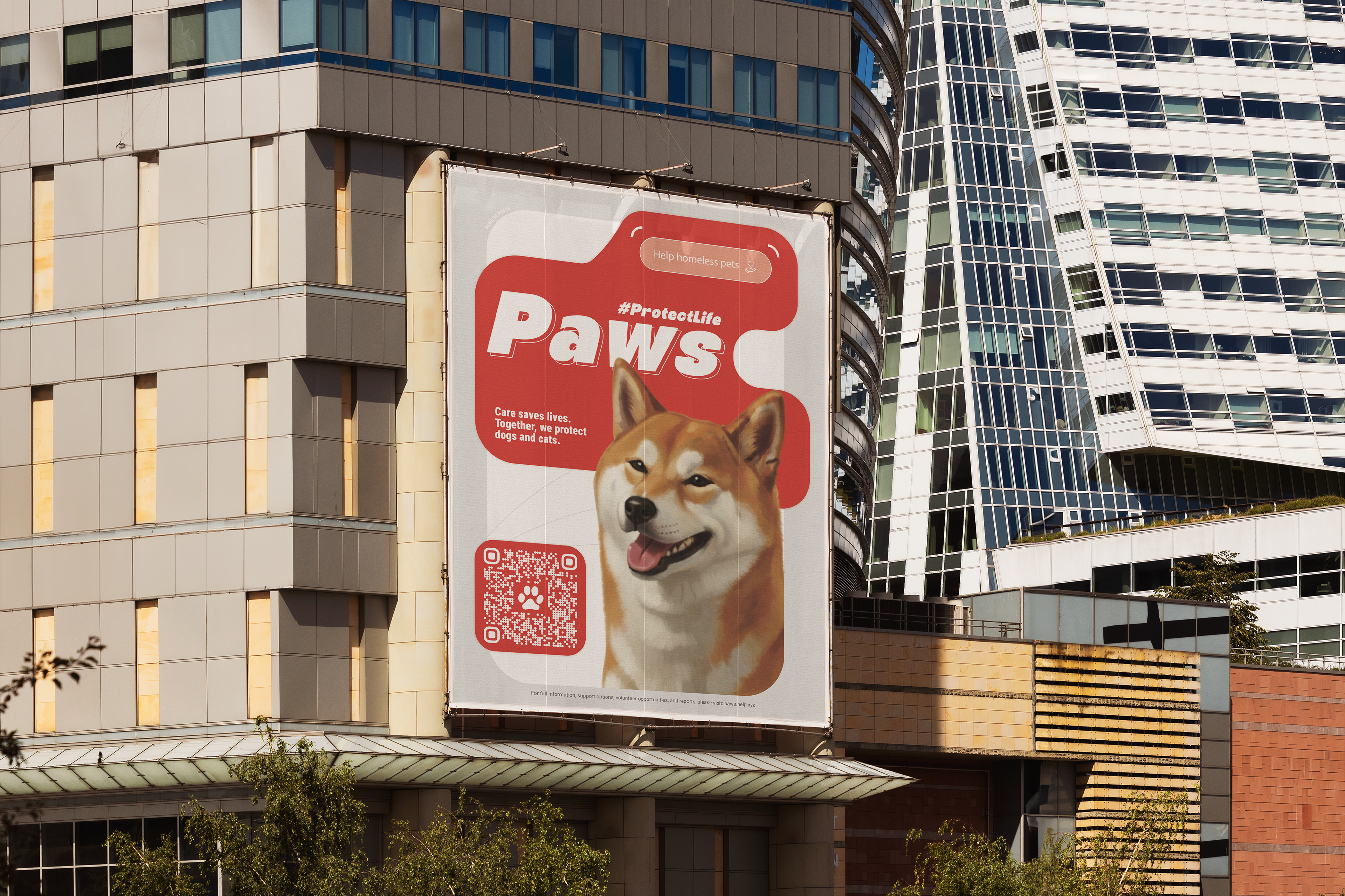 Paws charity — Изображение №3 — Брендинг, Графика на Dprofile
