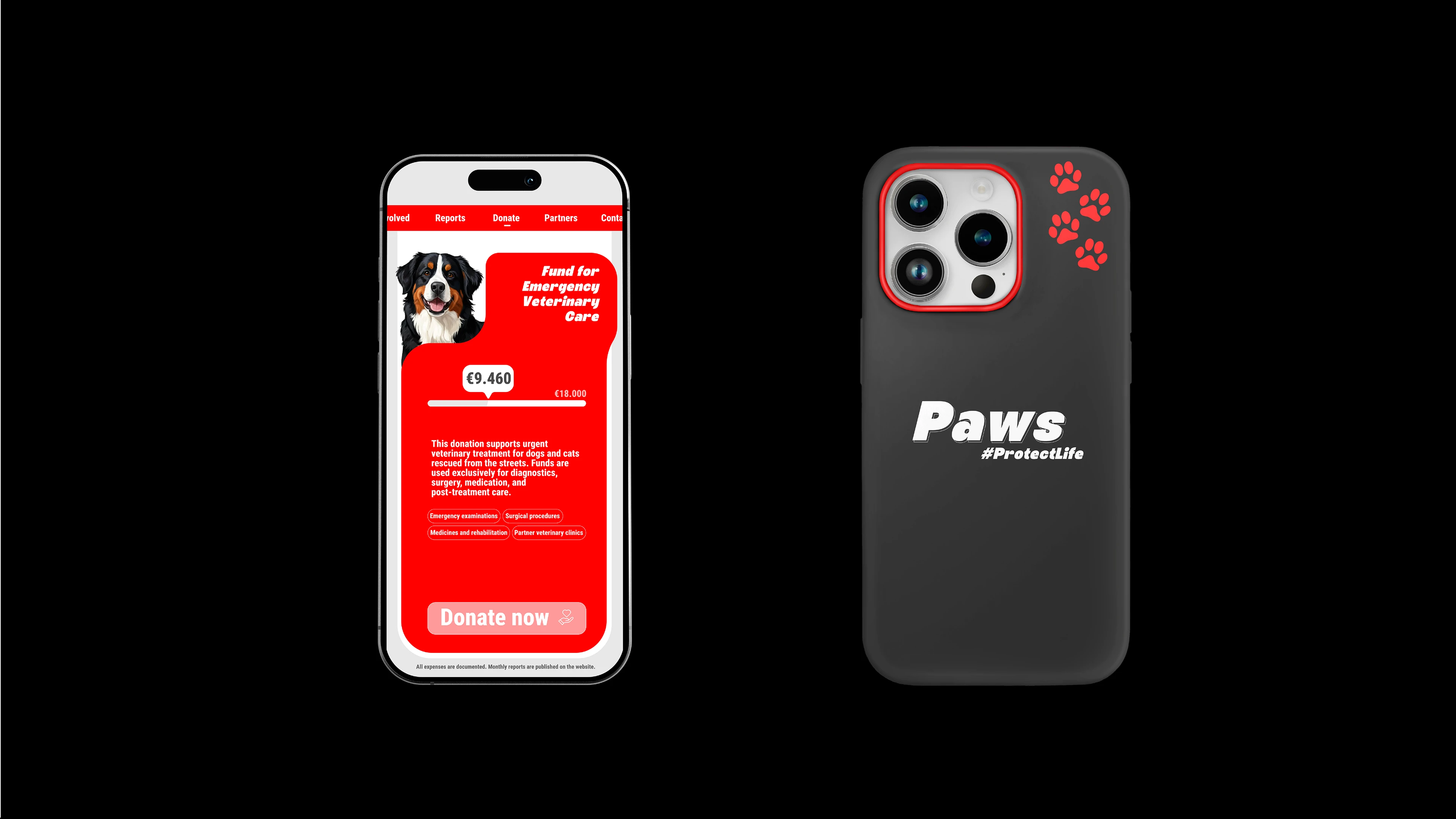 Paws charity — Изображение №9 — Брендинг, Графика на Dprofile