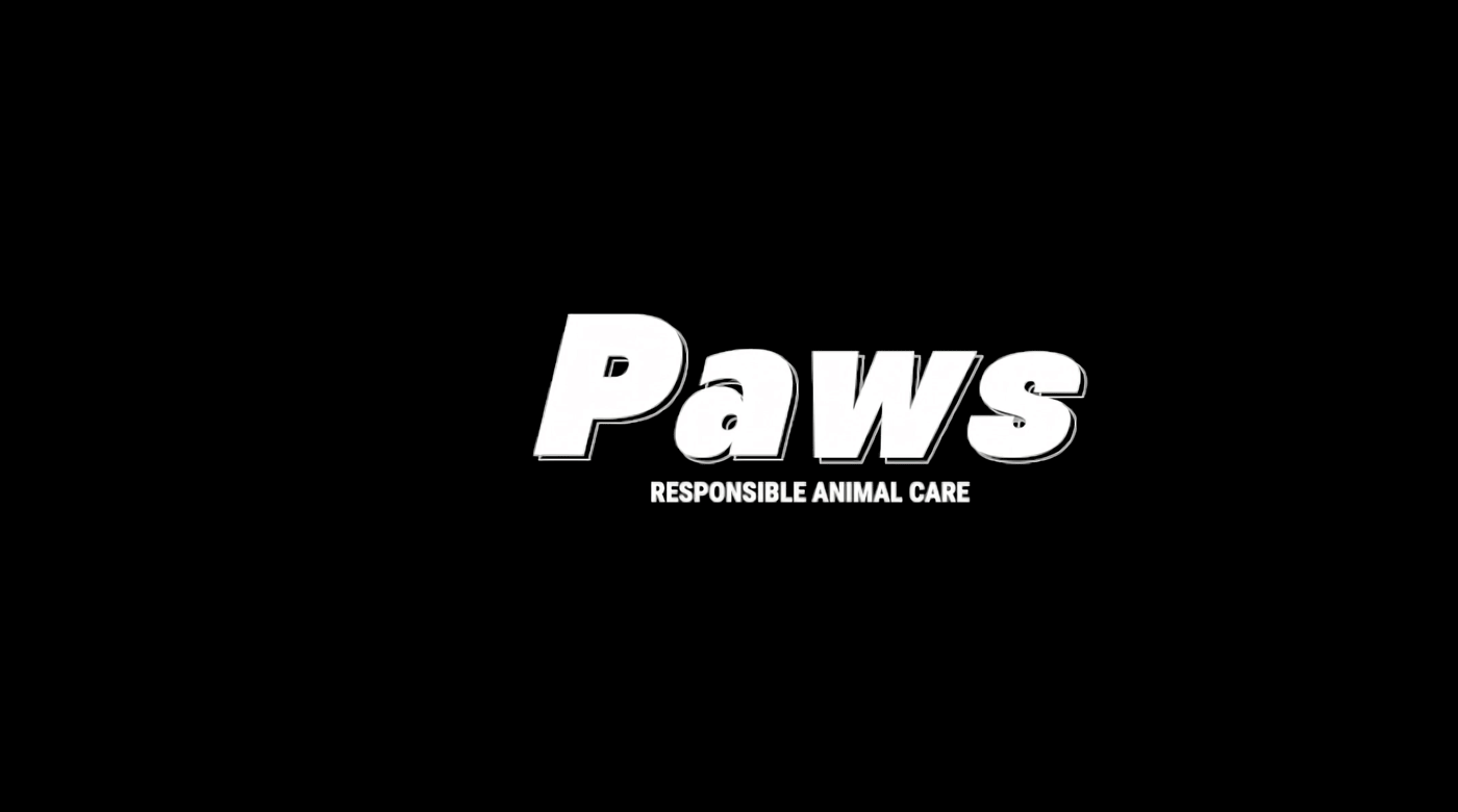 Paws charity — Изображение №2 — Брендинг, Графика на Dprofile