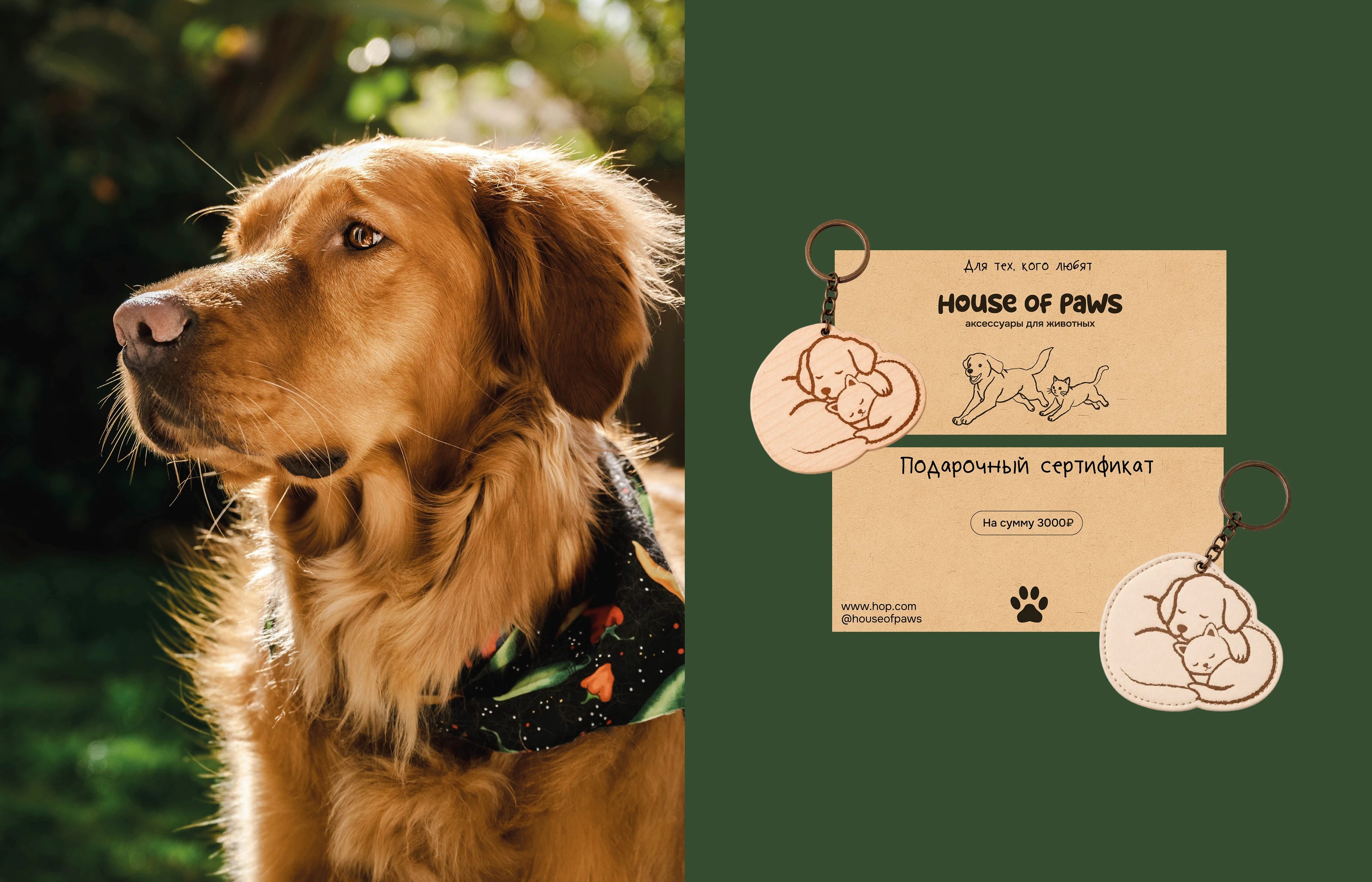 House of Paws / Animal accessories — Изображение №2 — Брендинг на Dprofile