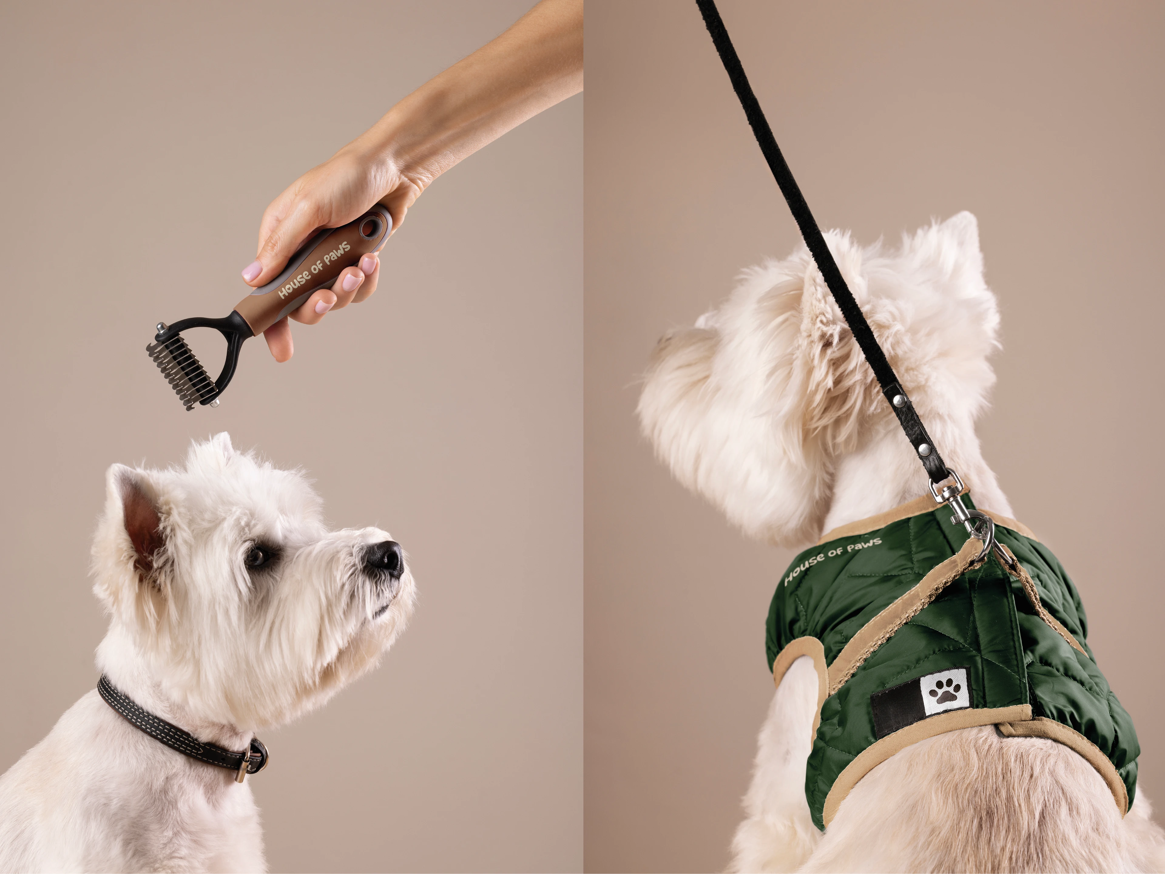 House of Paws / Animal accessories — Изображение №23 — Брендинг на Dprofile