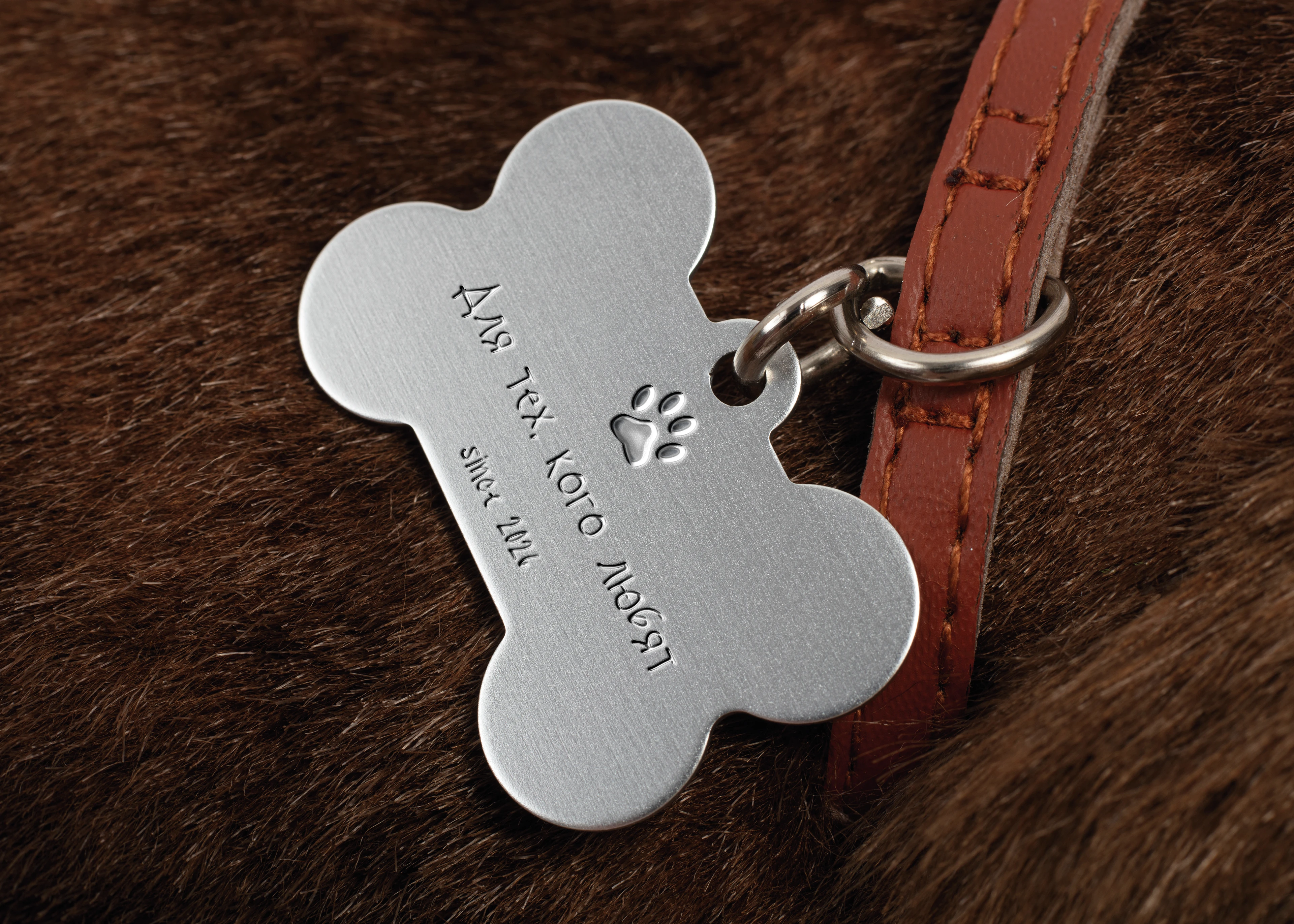 House of Paws / Animal accessories — Изображение №4 — Брендинг на Dprofile