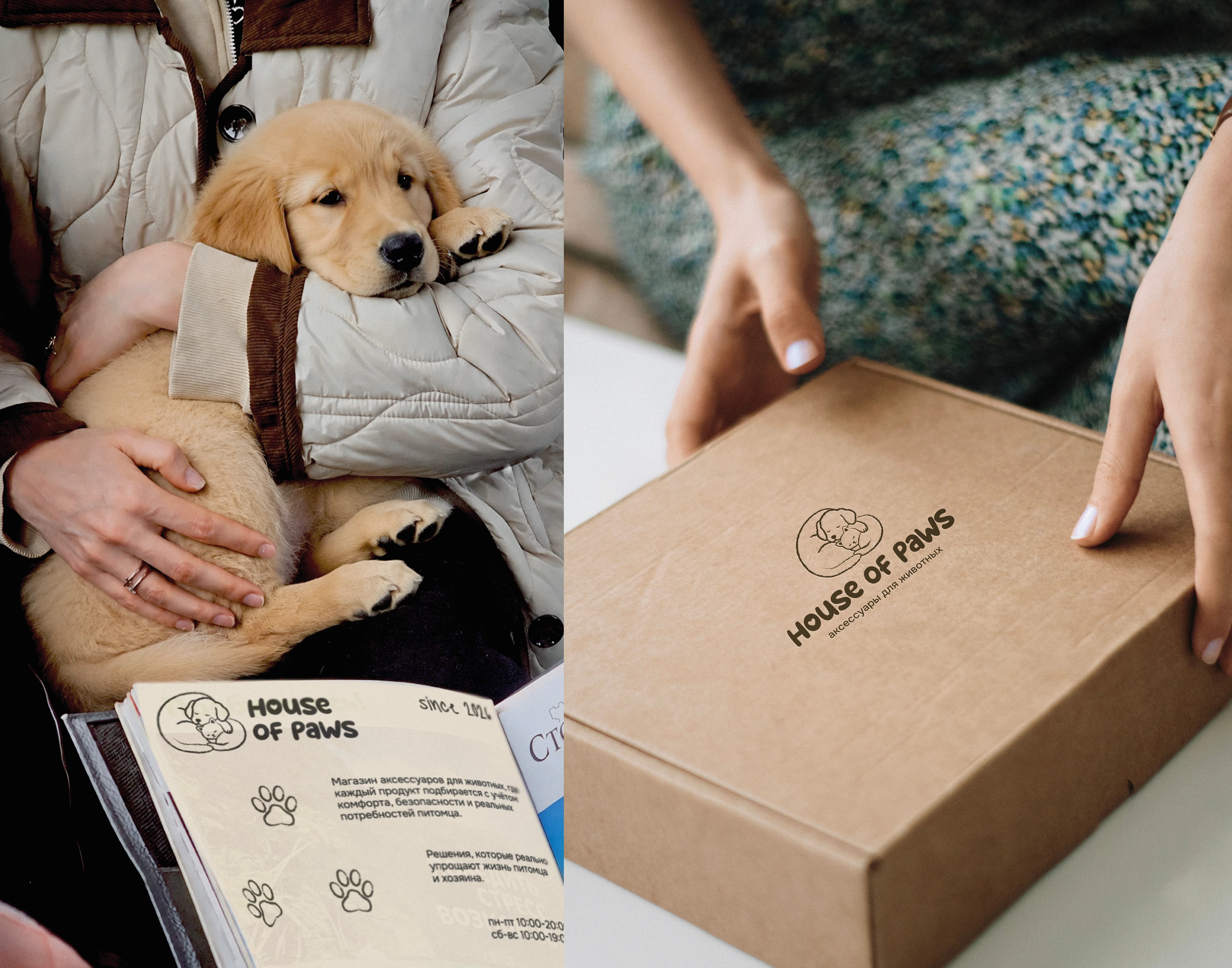 House of Paws / Animal accessories — Изображение №21 — Брендинг на Dprofile