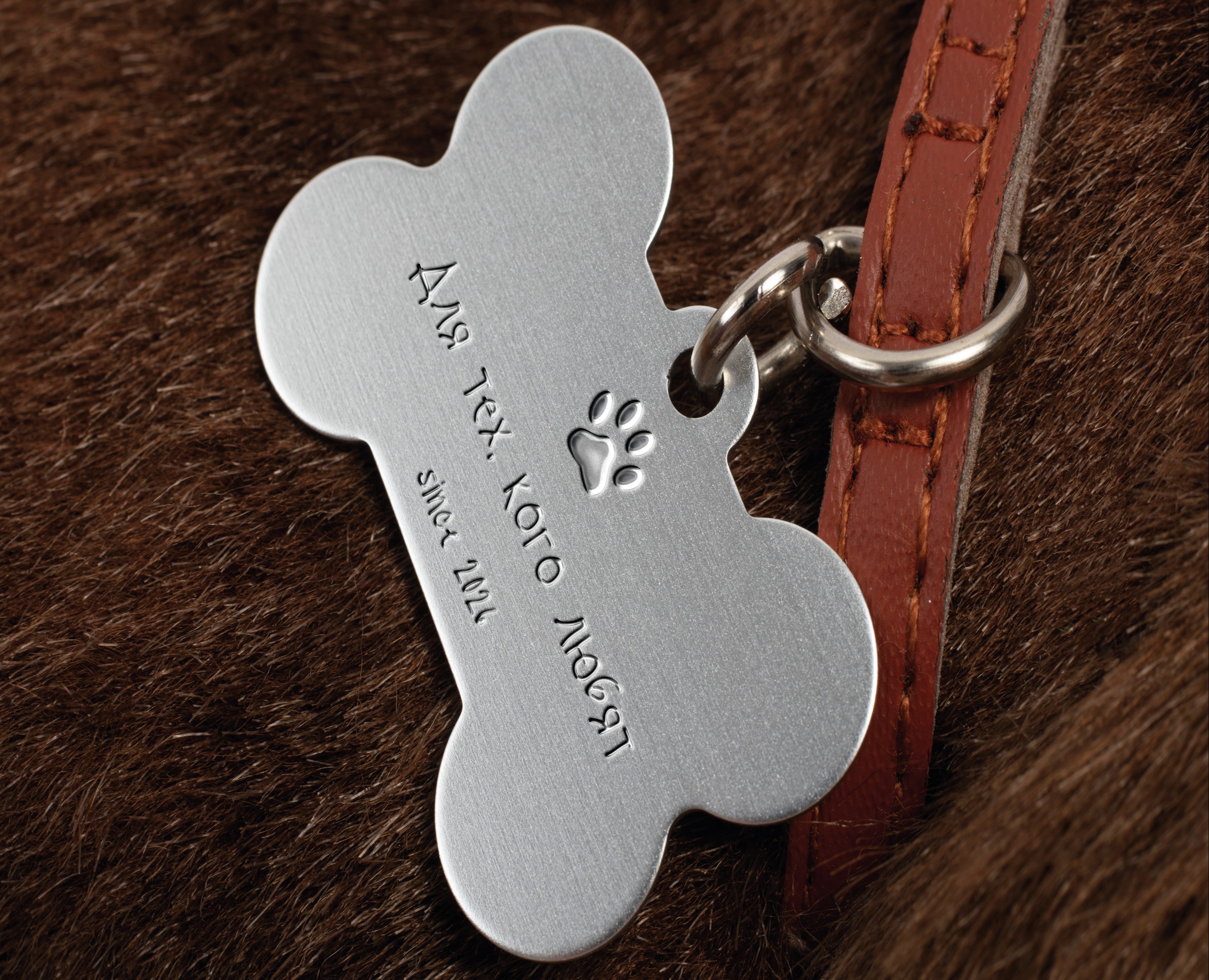House of Paws / Animal accessories на Dprofile