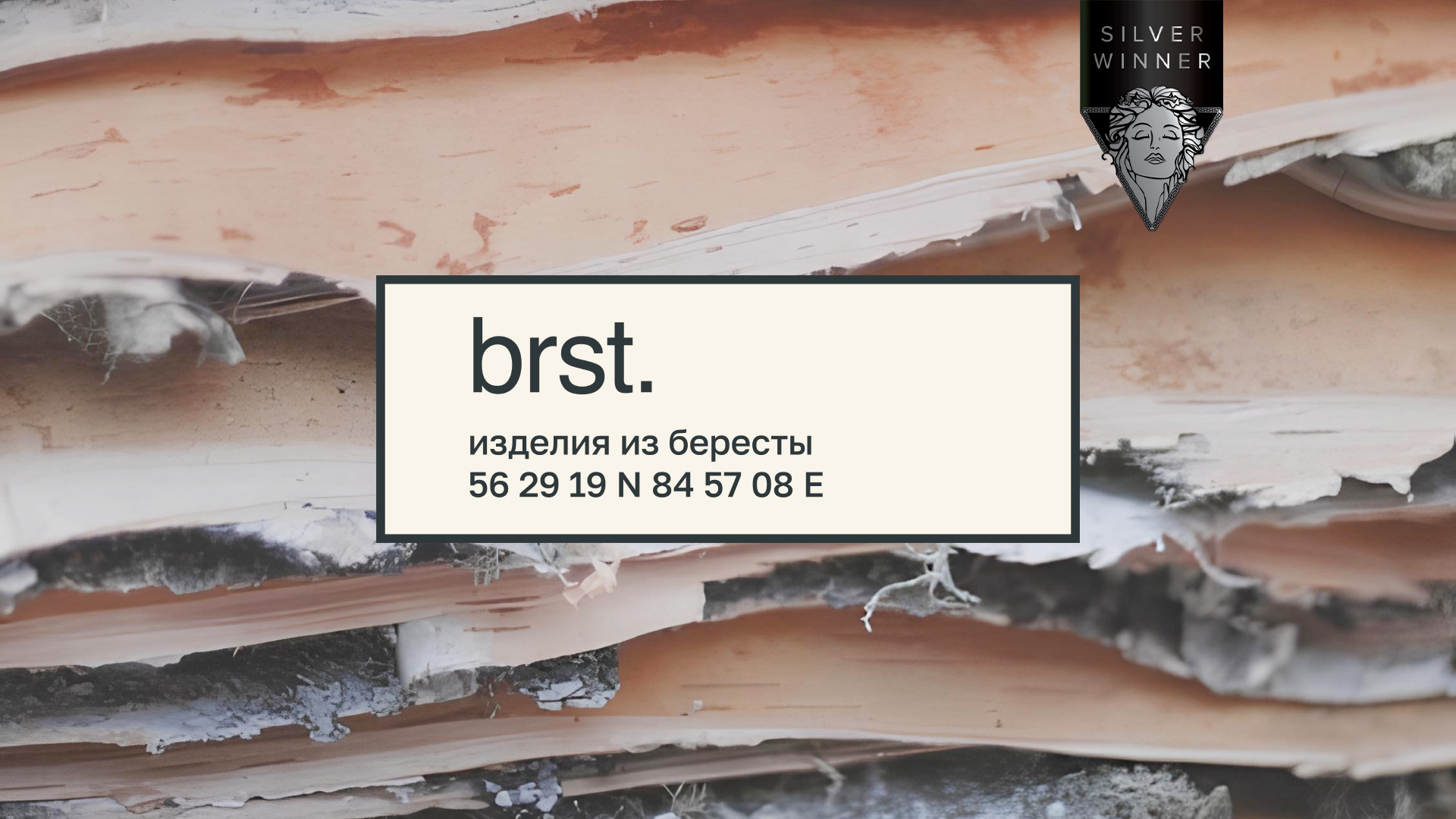brst. — Изображение №1 — Брендинг на Dprofile