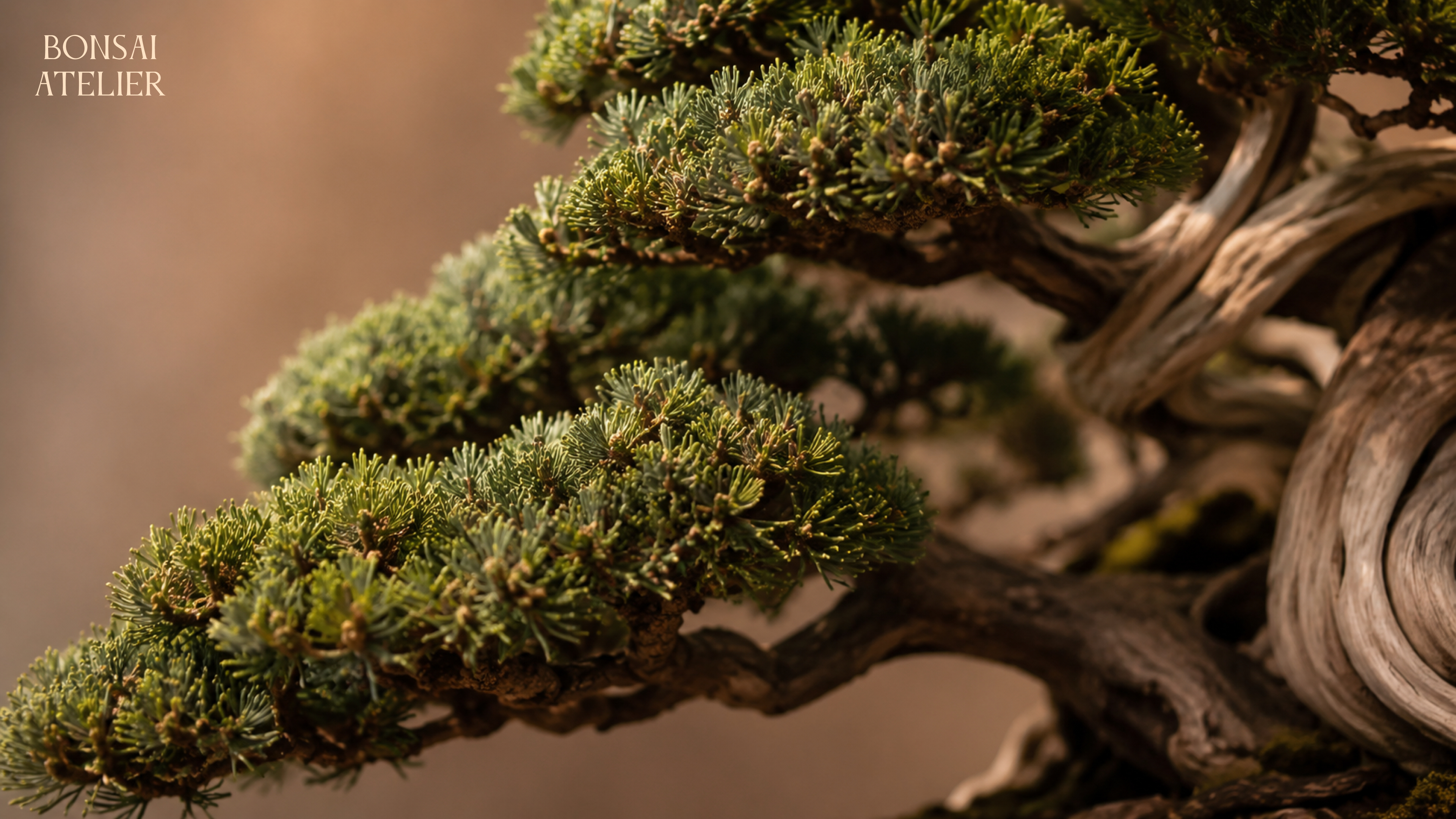 Bonsai Atelier / AI проект — Изображение №1 — Маркетинг, Нейро на Dprofile