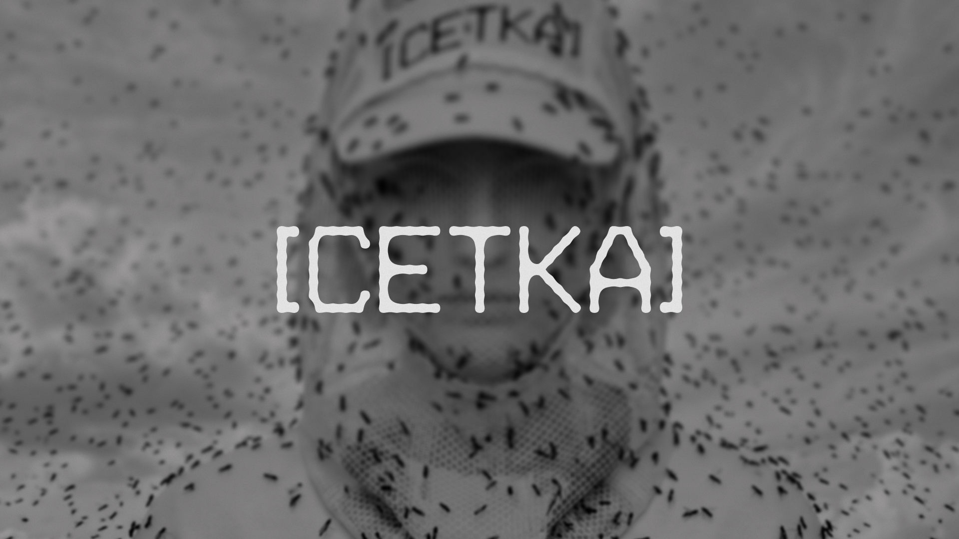 [cетка] — Изображение №1 — Брендинг на Dprofile