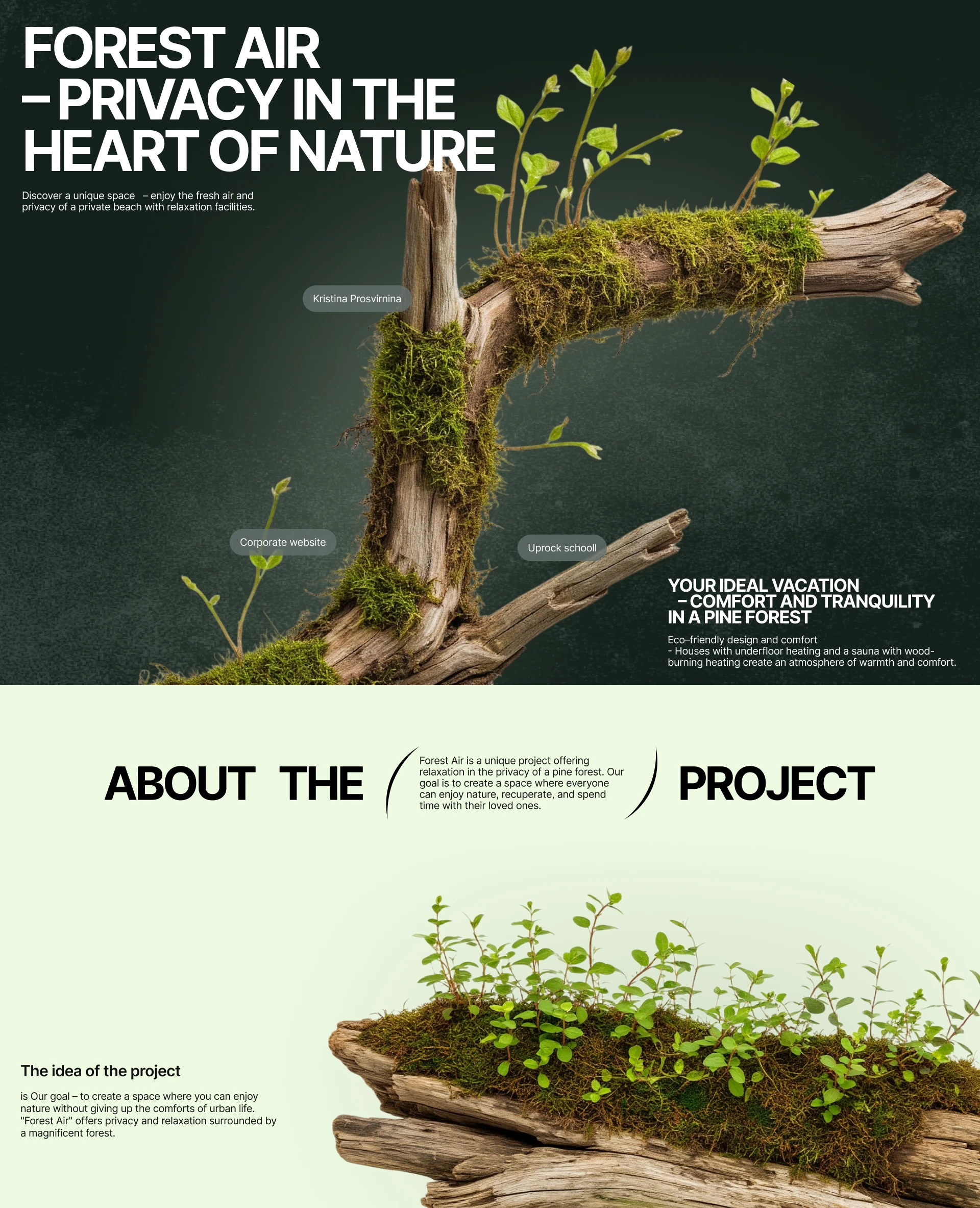 Forest air website — Изображение №1 — Интерфейсы на Dprofile