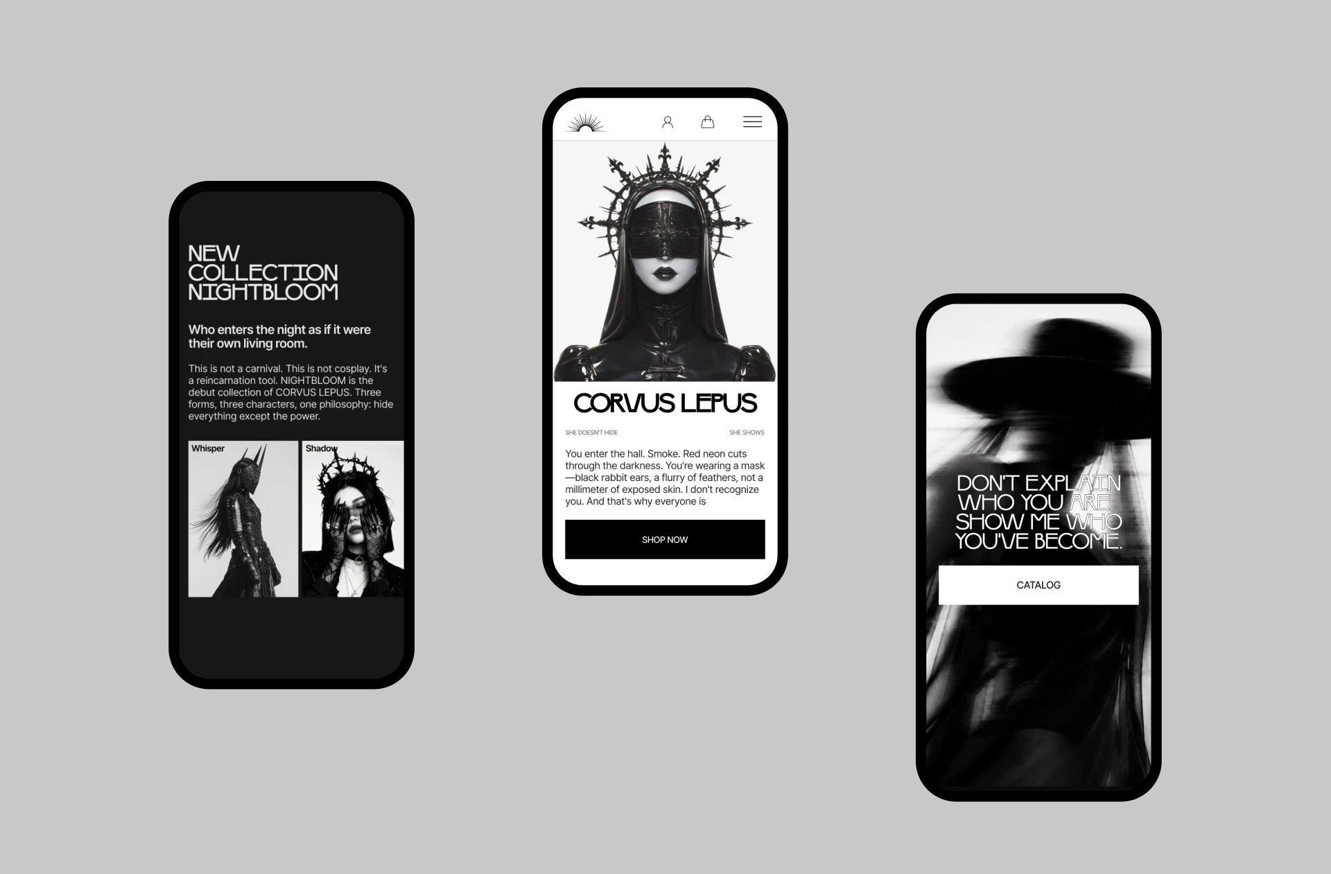 CORVUS LEPUS — авторское ателье закрытых масок — Изображение №2 — Интерфейсы на Dprofile