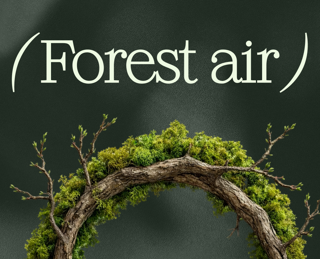 Forest air website — Интерфейсы на Dprofile
