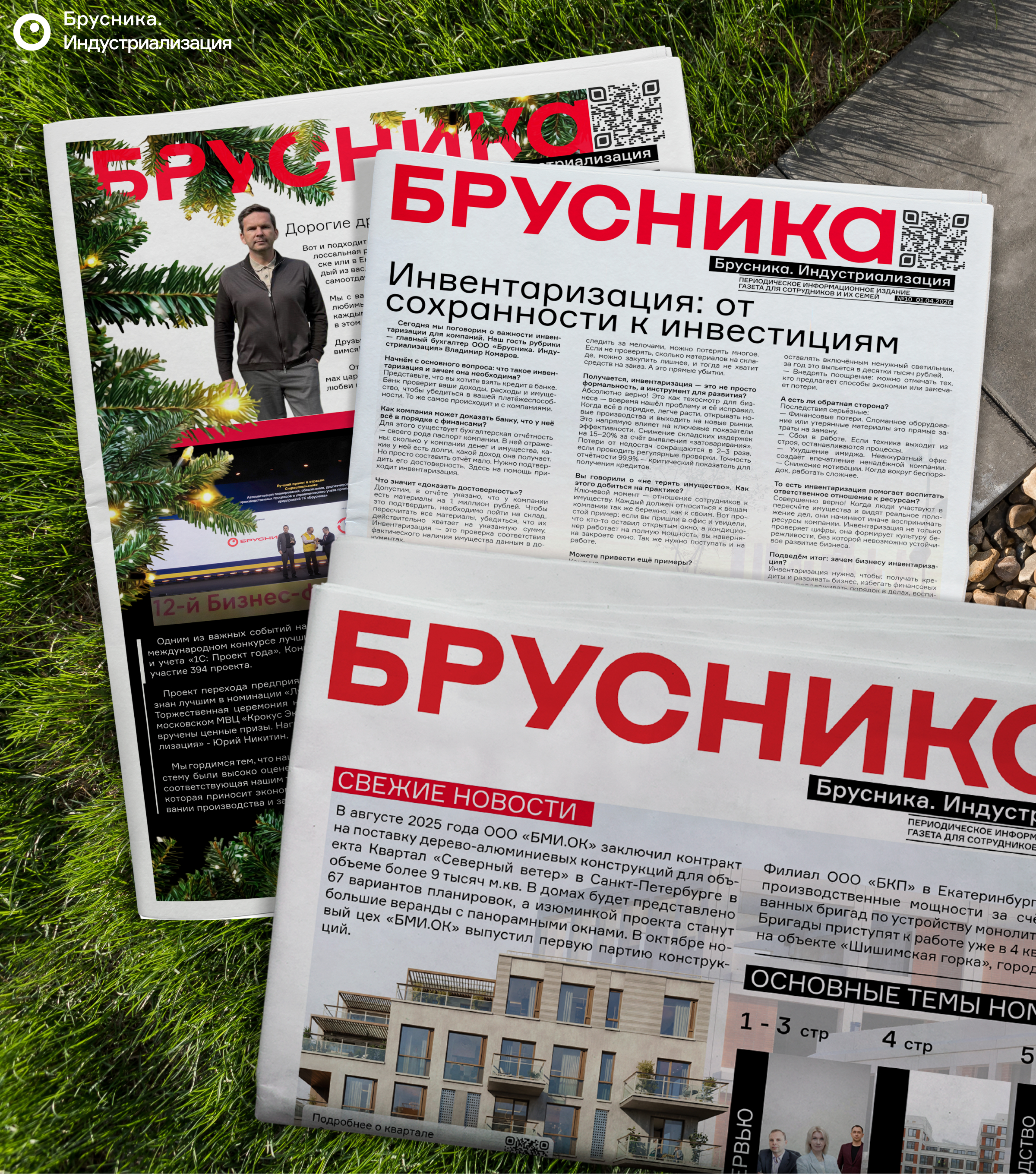 Брусника. Индустриализация | Информационное издание — Изображение №1 — Графика на Dprofile
