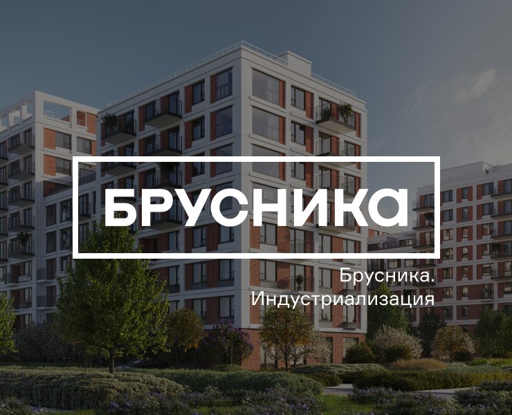 Брусника.Индустриализация на Dprofile