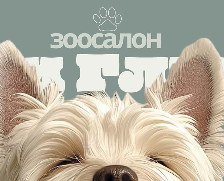 Обложка для сообщества ВКонтакте для грумсалона на Dprofile