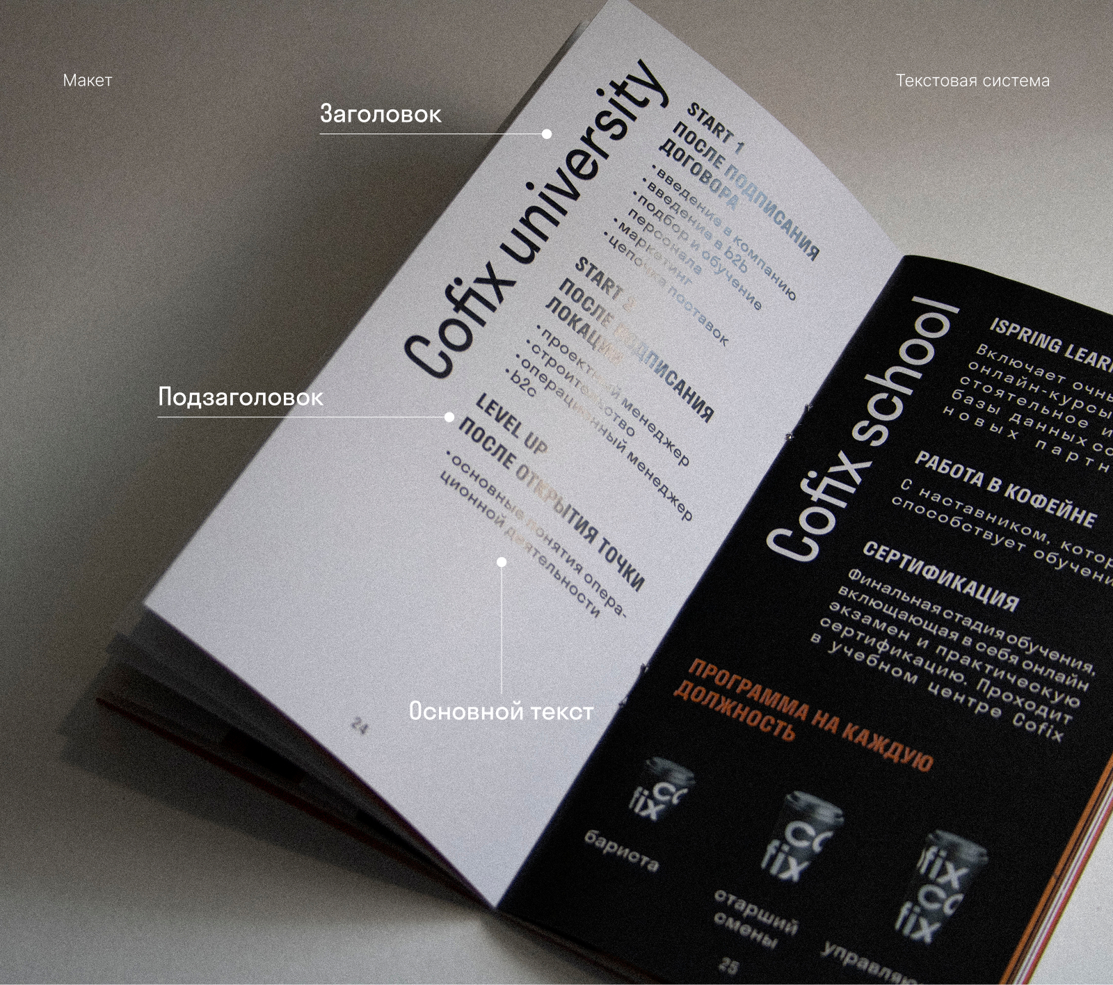 Печатный каталог Cofix — Изображение №10 — Брендинг, Графика на Dprofile