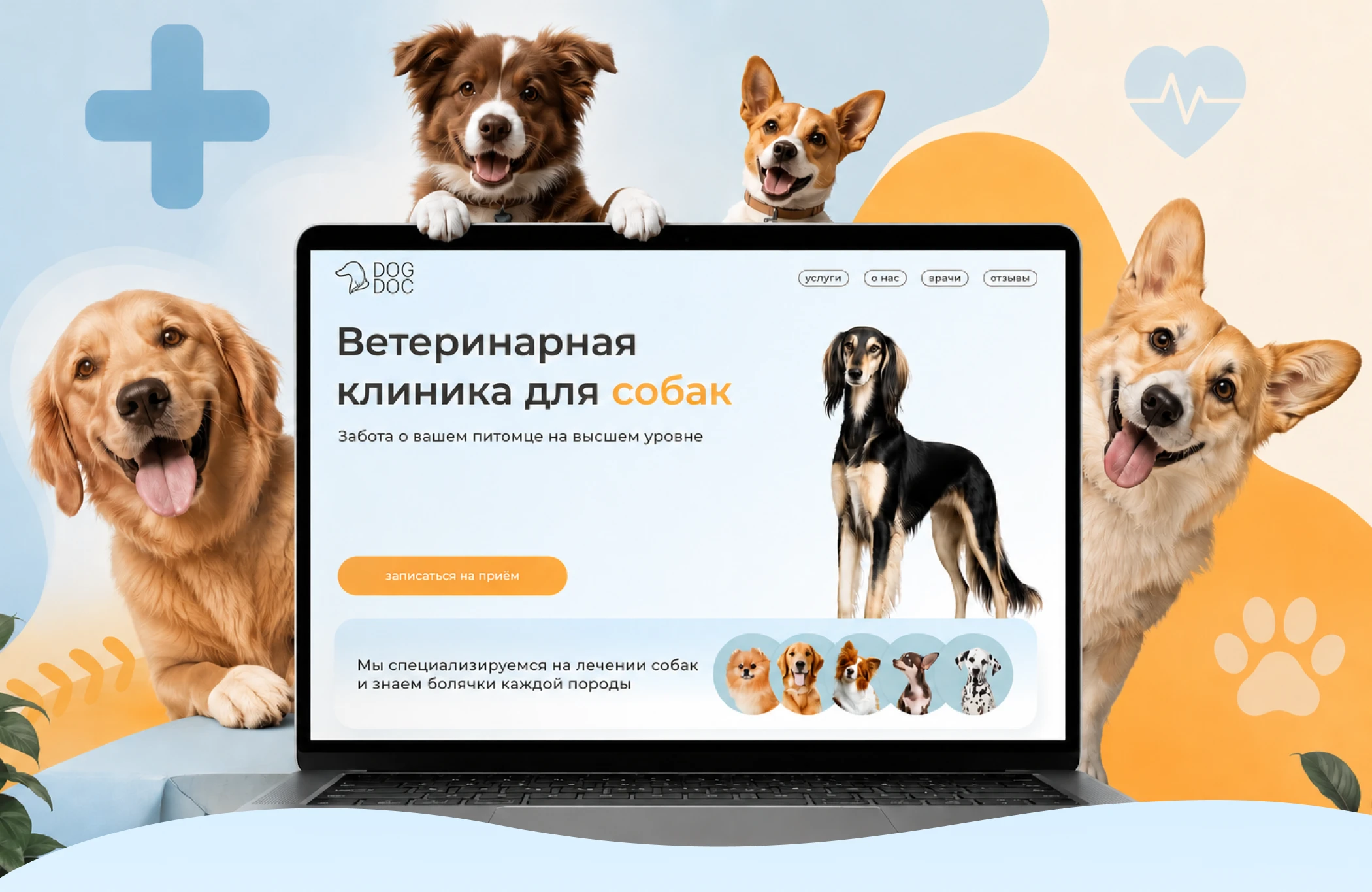 Лендинг для ветеринарной клиники — Изображение №1 — Интерфейсы, Брендинг на Dprofile