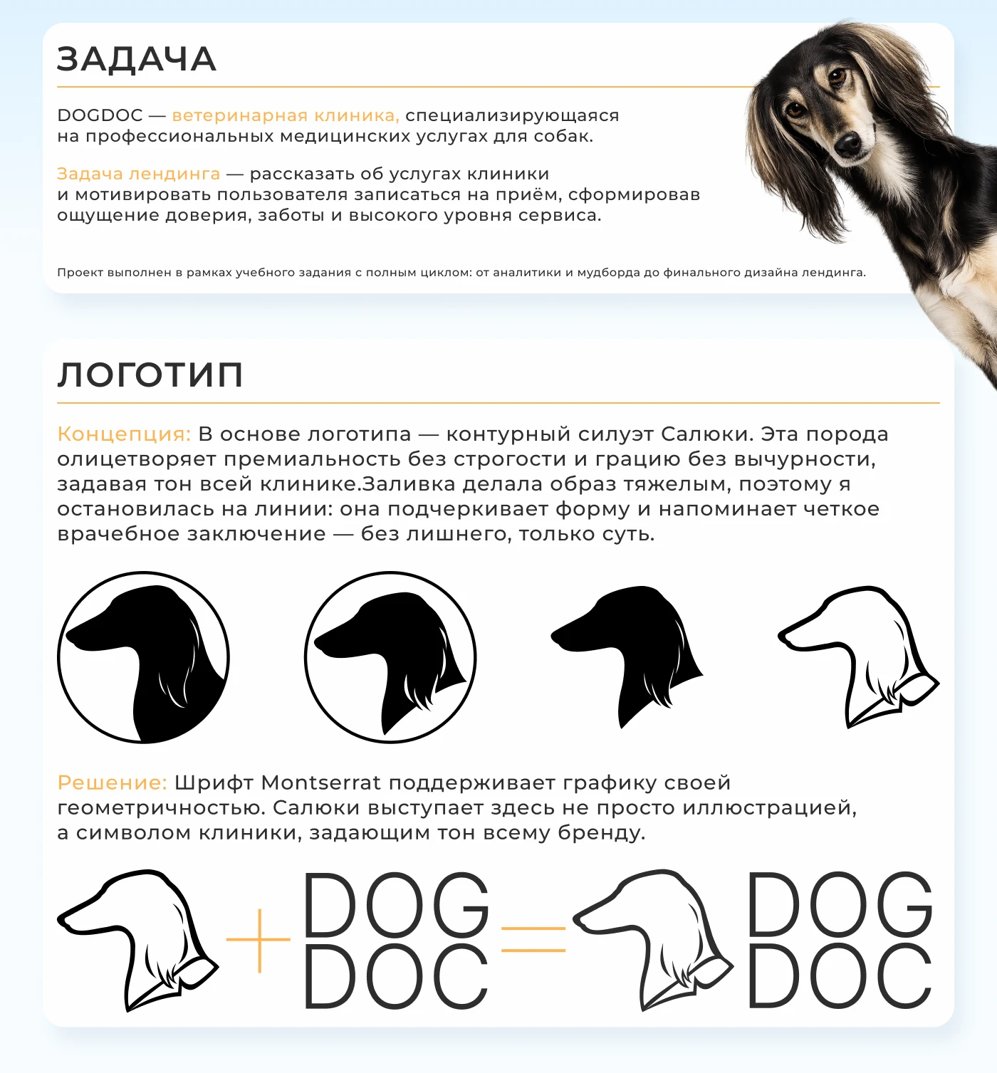 Лендинг для ветеринарной клиники — Изображение №2 — Интерфейсы, Брендинг на Dprofile