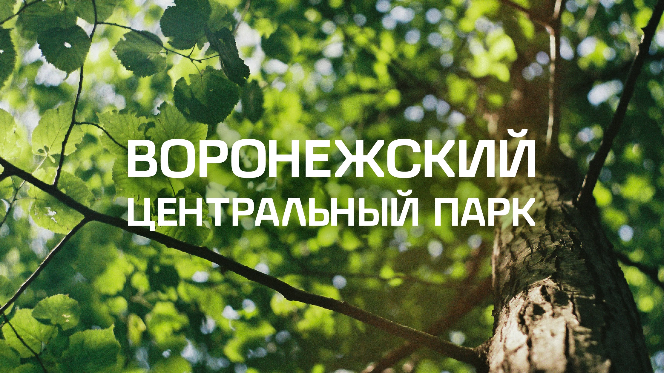 НАВИГАЦИЯ ПАРКА | Воронежский центральный парк — Изображение №1 — Брендинг, Графика на Dprofile