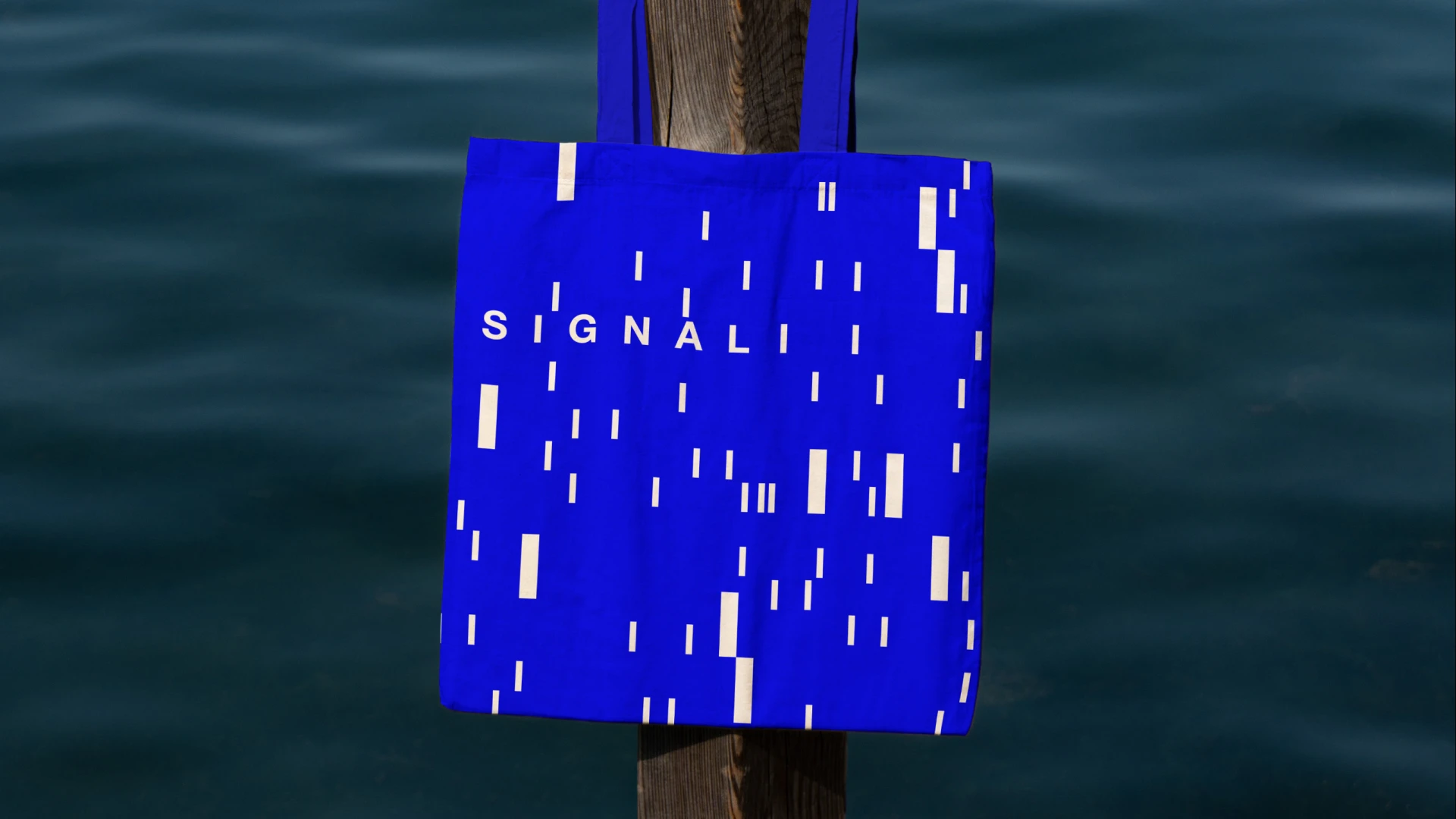 SIGNAL — фестиваль электронной музыки — Изображение №9 — Брендинг на Dprofile