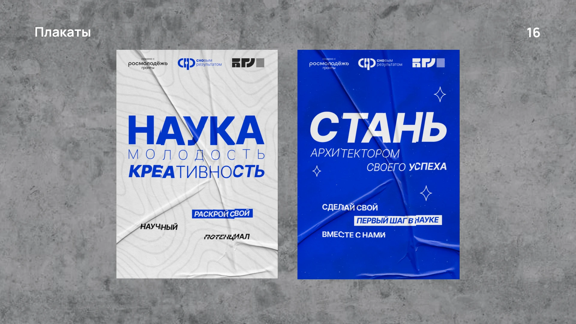 СНОвым результатом. Брендбук грантового проекта — Изображение №15 — Брендинг, Графика на Dprofile