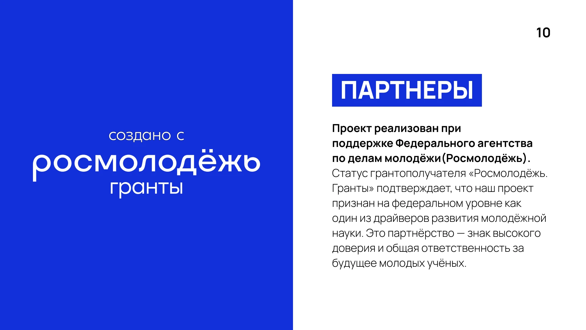 СНОвым результатом. Брендбук грантового проекта — Изображение №9 — Брендинг, Графика на Dprofile