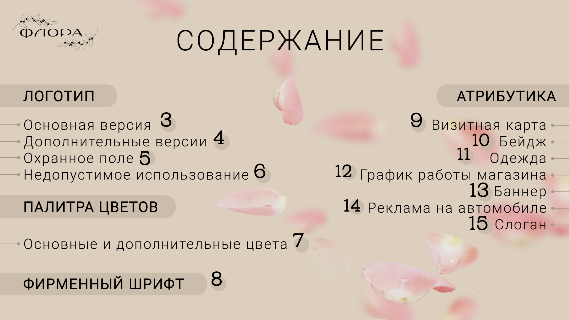 Дизайн "DV" — Изображение №2 — Брендинг, Графика на Dprofile