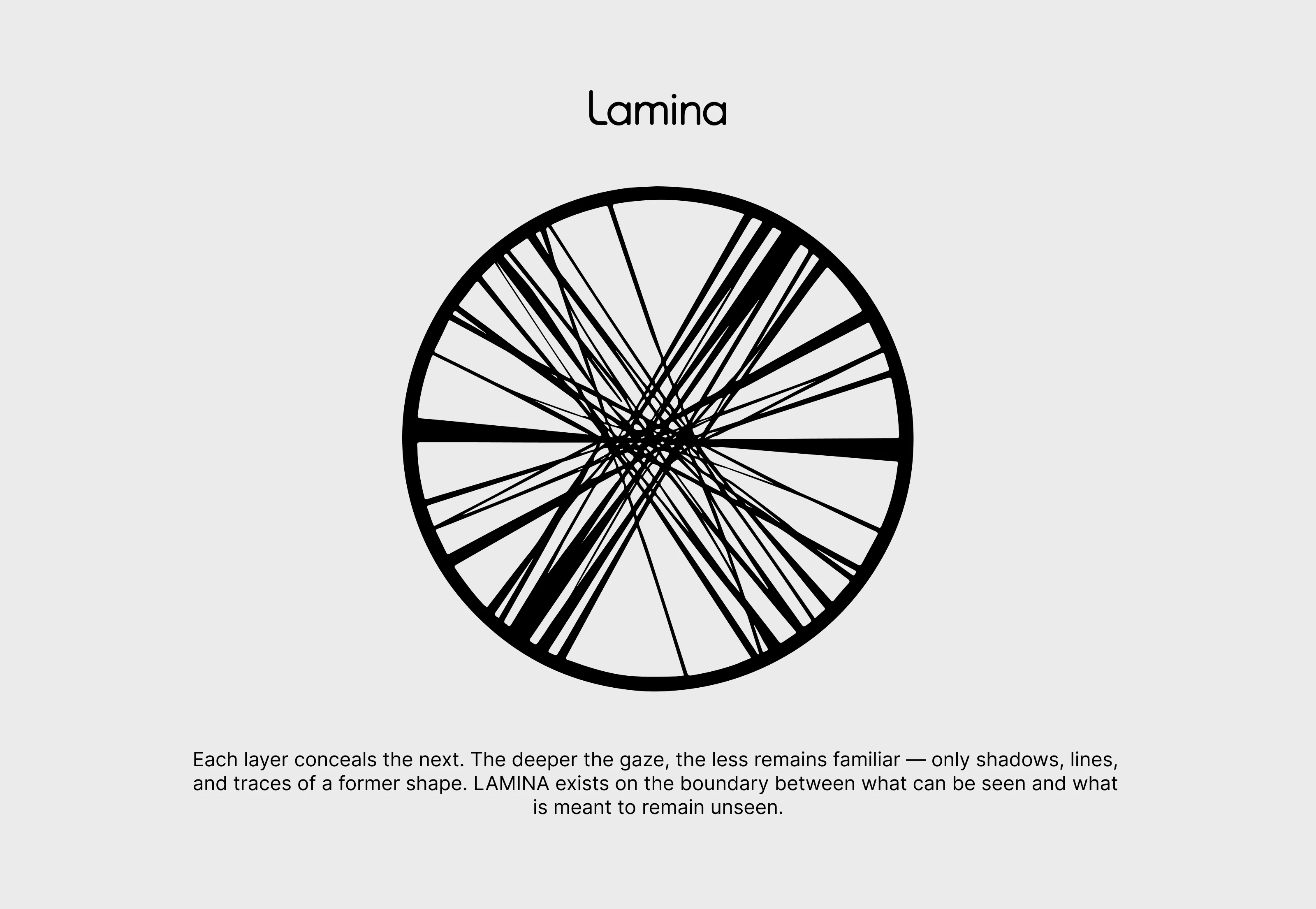 Lamina — Изображение №2 — Брендинг на Dprofile