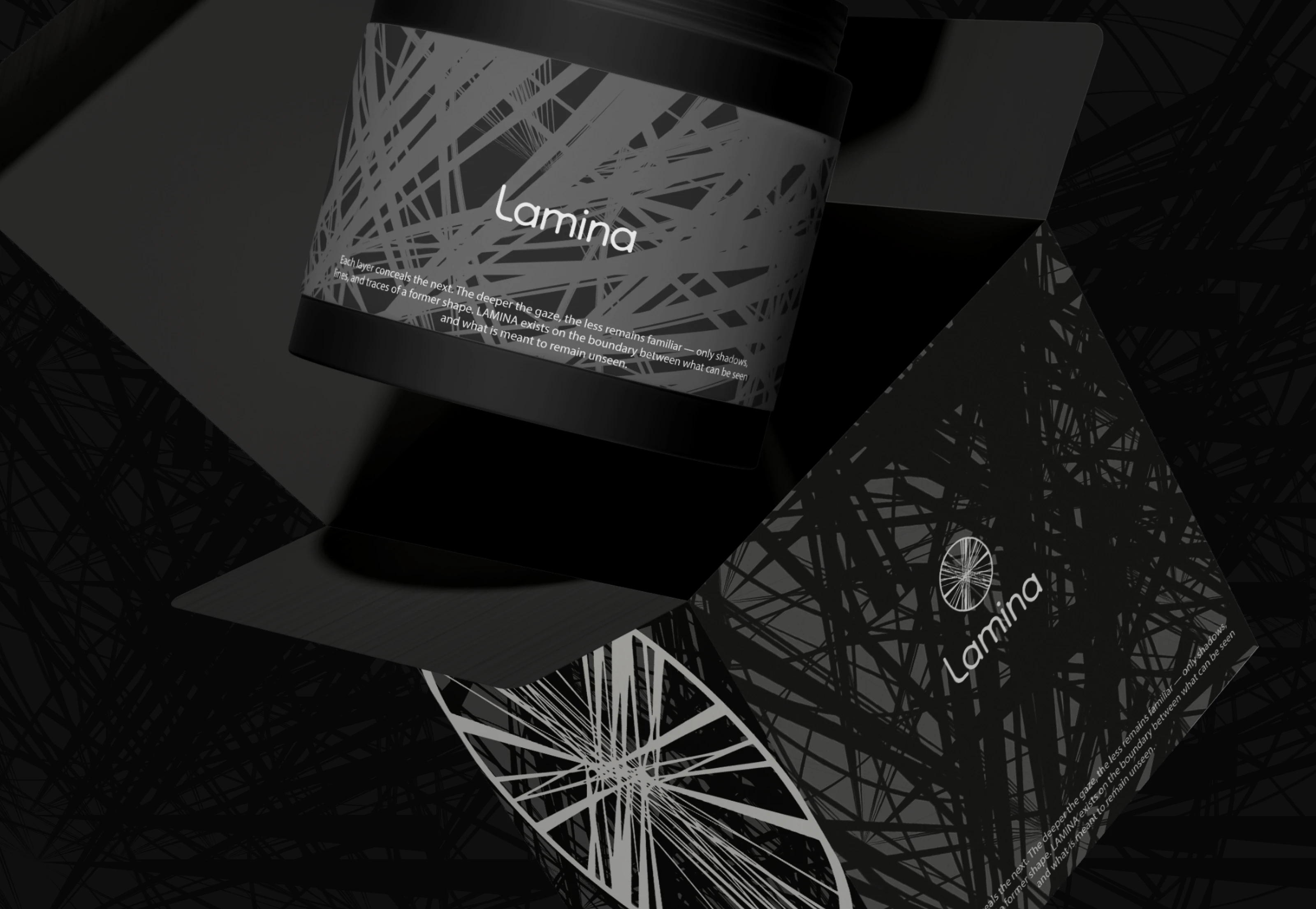 Lamina — Изображение №5 — Брендинг на Dprofile
