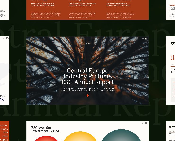 Дизайн годового ESG-отчета CEIP — Графика на Dprofile